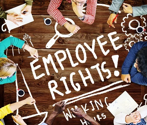 Employee Rights Working Benefits Skill Career Compensation Conce