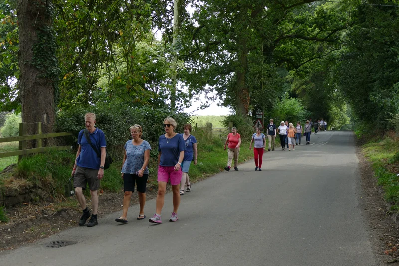 Walking the Walk 01.jpg