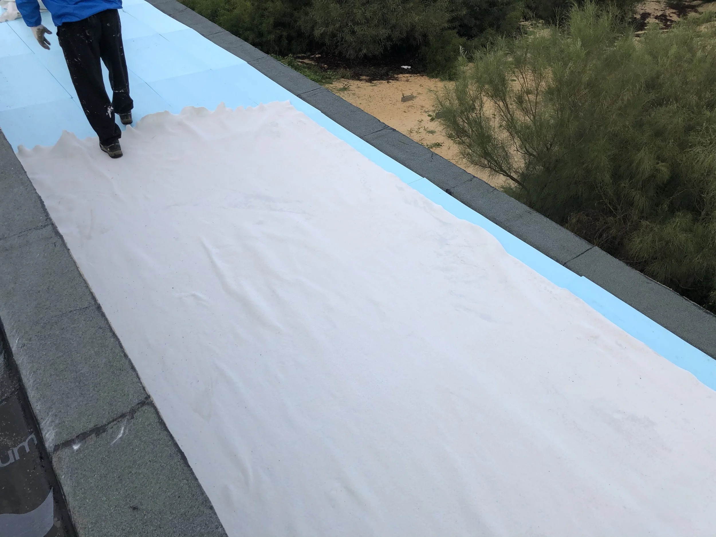 IMG_6566 - cópia.jpeg