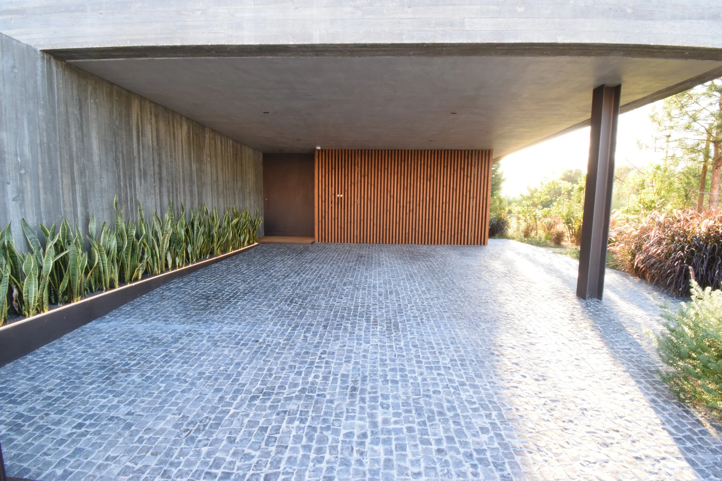 DSC_0906 - cópia.JPG