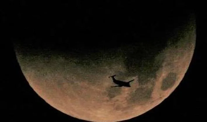 Cell phone at Prime Focus of an Orion EON ED80 Telescope