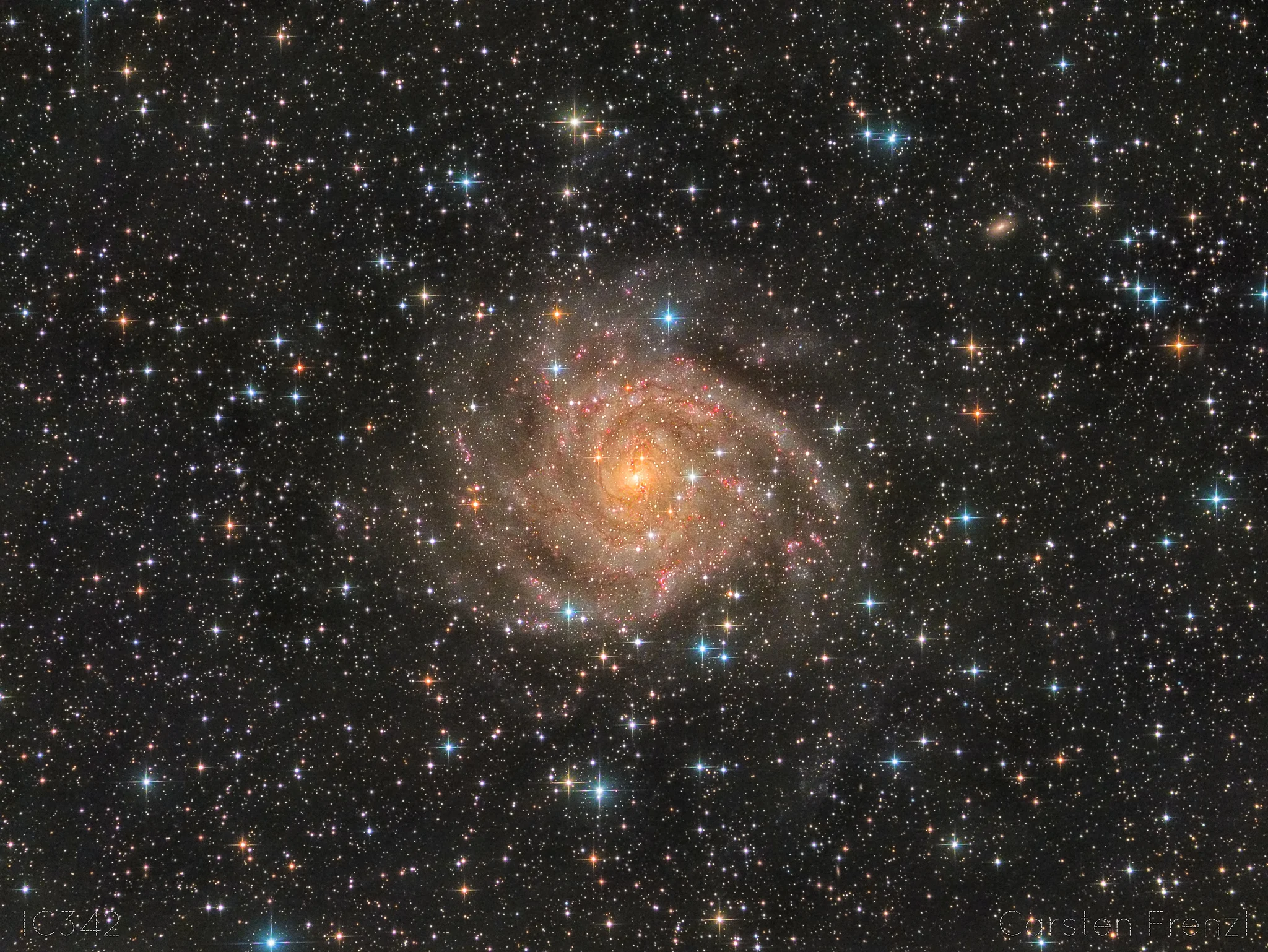 IC342 - The Hidden Galaxy Distance:10.7 ± 0.9 Mly LRGB Equipment: TS 10" f/4 ONTC Newton 1000mm f4 GPU Aplanatic Koma Korrector Moravian CCD G2-8300FW Astrodon LRGB Filter Losmandy G11/LFE Photo Guding: Lodestar on TS Optics - ultra short 9mm Off Axis Guider PHD2 28x900 Lum je 4x900 RGB total exposure time: ca. 10 hour November/December 2016 Processing: PixInsight/Lightroom Carsten Frenzl