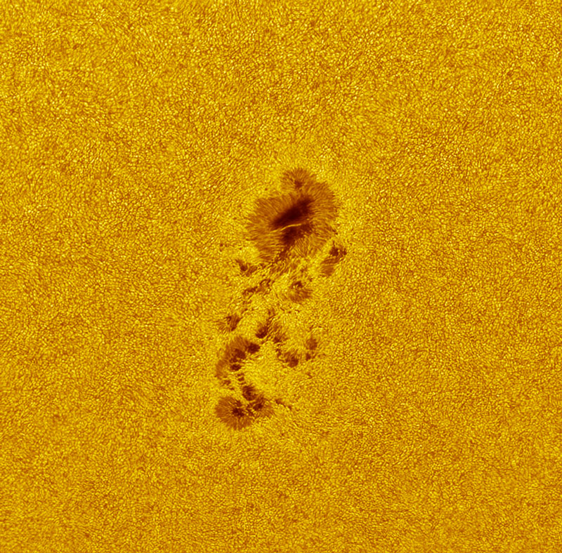 Figure 4-1: A close-up in white light of a sunspot group using a ZWO ASI174 astronomy camera and a telescope with 350mm aperture with an effective focal length of 3556mm. Credit: ZWO.