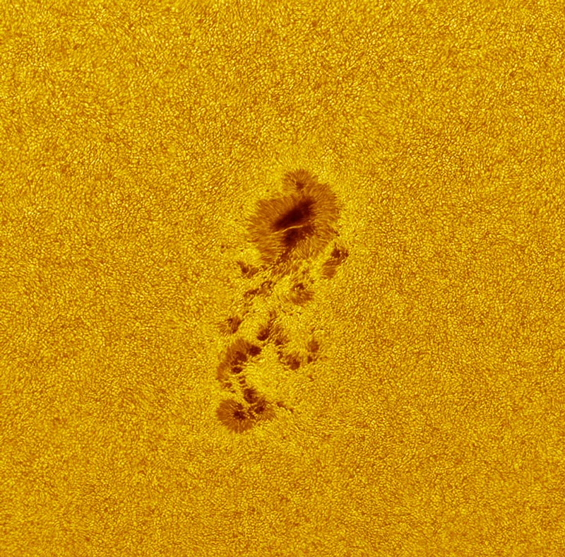 Figure 4-1: A close-up in white light of a sunspot group using a ZWO ASI174 astronomy camera and a telescope with 350mm aperture with an effective focal length of 3556mm. Credit: ZWO.