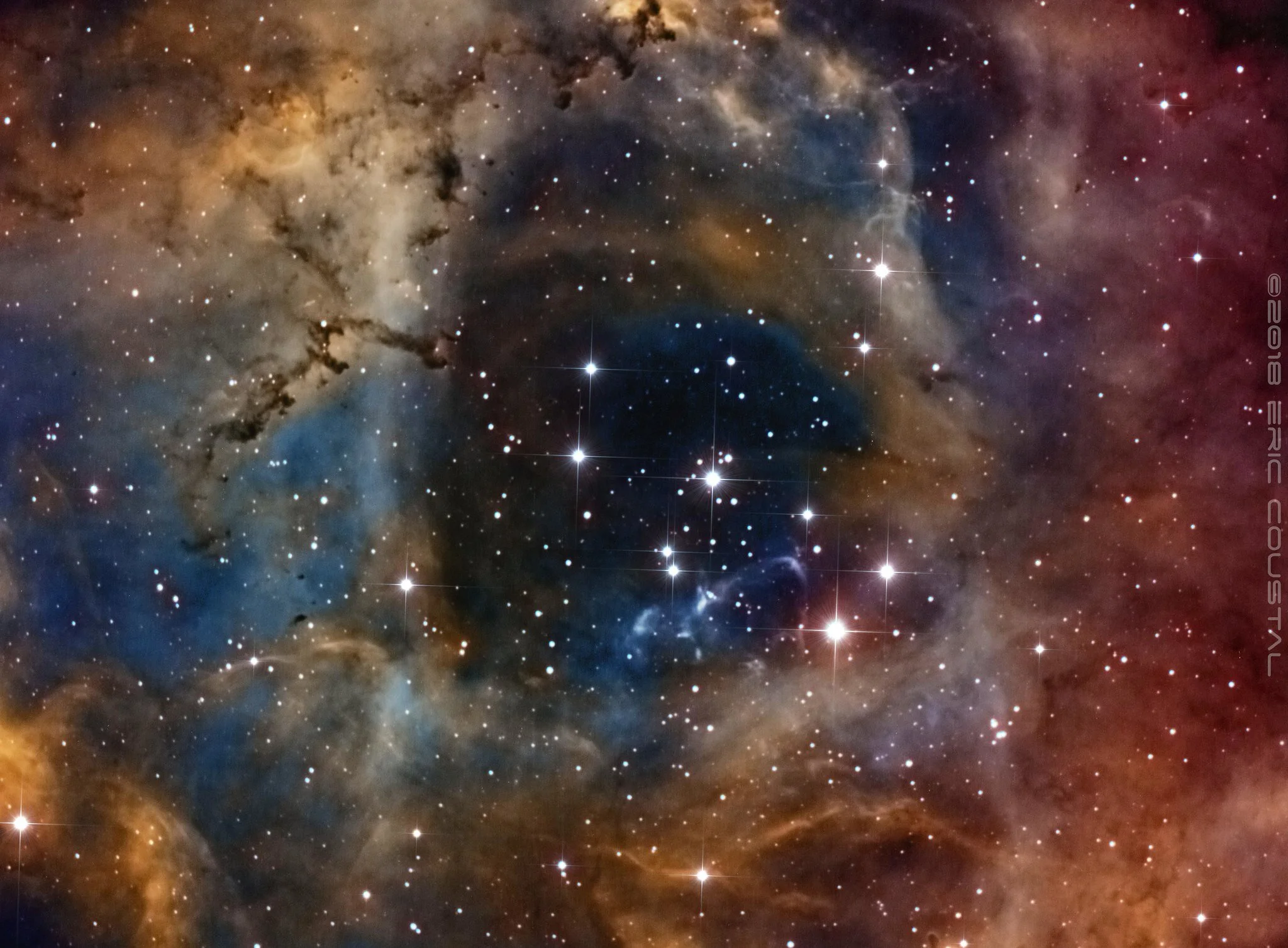 Image by Eric COUSTALRosette H_SHO_R_TIFF_Spike