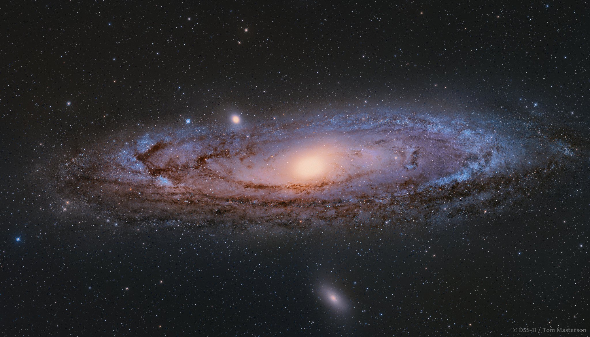 Image by Transient Astronomer Andromeda Galaxy M31 DSS-IIOur largest galactic neighbor and the most photographed galaxy in the night sky the Andromeda Galaxy is an impressive object. In this image using amazing professional data from the Digitized S…