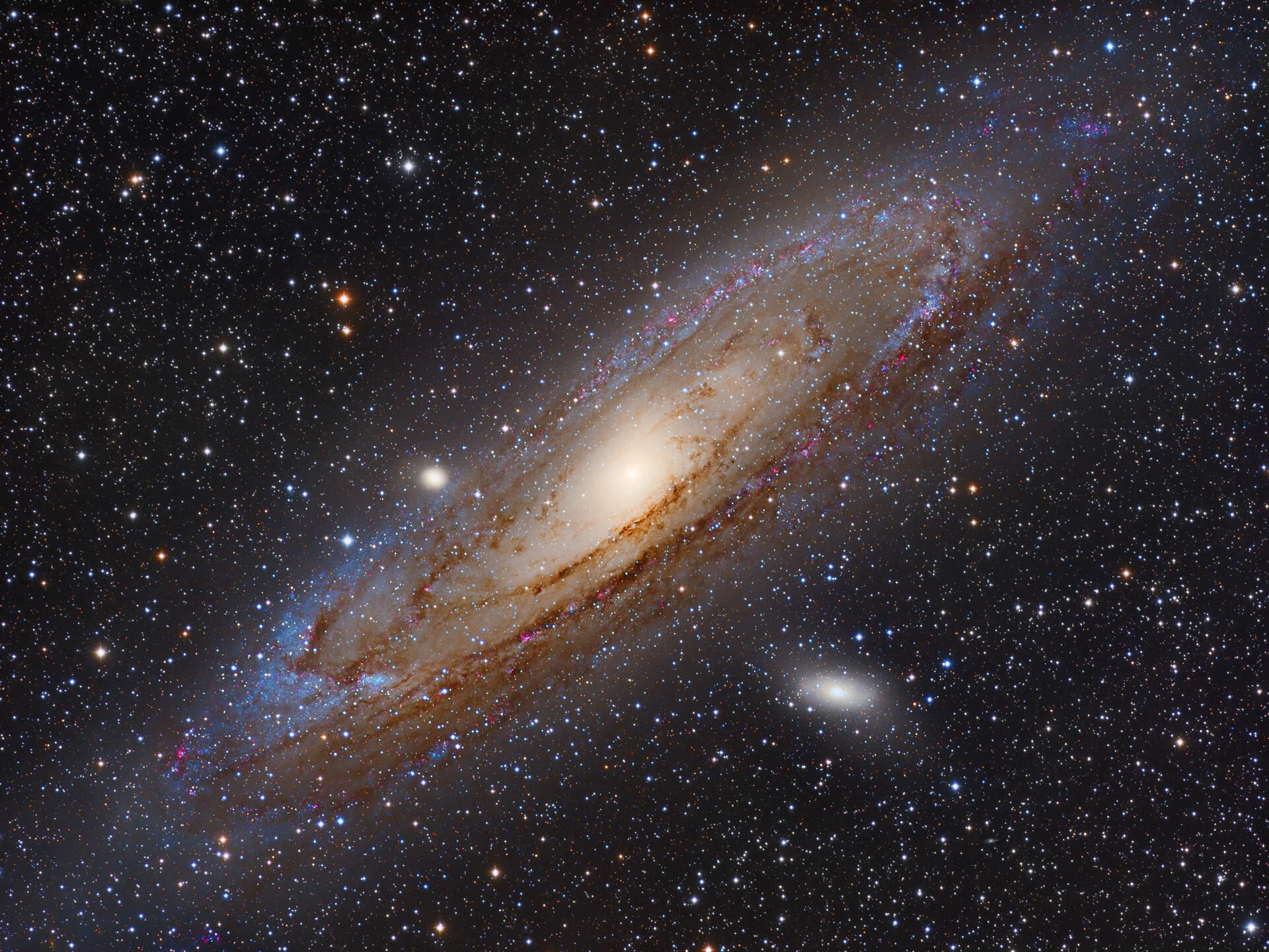 Image by Leonardo OraziM31 - The great Andromeda GalaxyFULLRES at:www.starkeeper.it/M31.htmOptics:Takahashi FSQ-106EDXIII F/3.6 383mm. - APO RefractorMount:AP Mach1 GTOCamera:QSI-683WSGFilters:Astrodon E Series Gen II LRGB 31mmGuiding Systems:SX Lod…