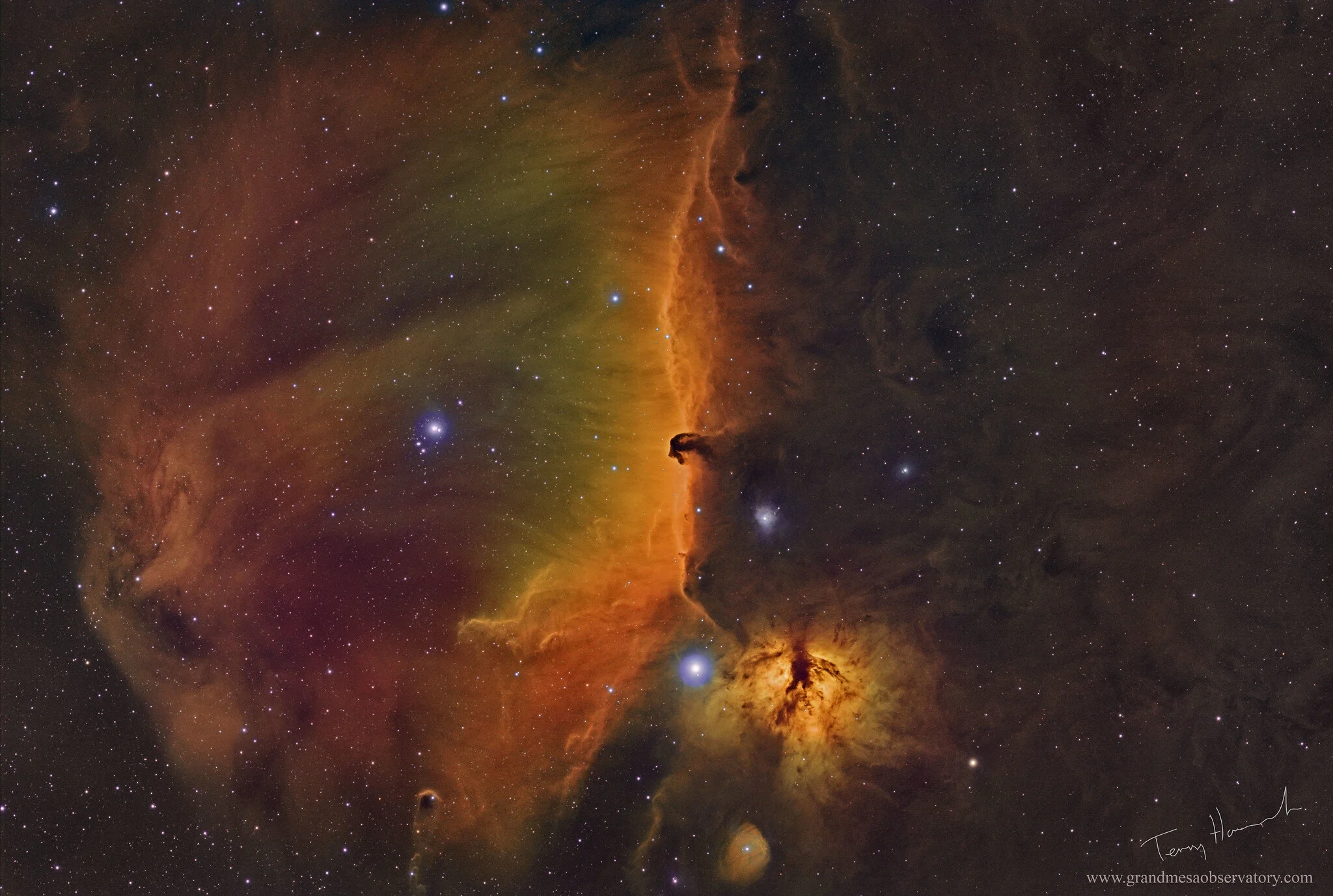 Image by Terry HancockOrion-The Edge of ForeverThe Horsehead Nebula, captured from GrandMesaObservatory.com in Purdy Mesa, Western Colorado using the Holloway Takahashi 130 FSQ and QHY367C Full Frame CMOS camera.I acquired the data in Color + H-Alph…