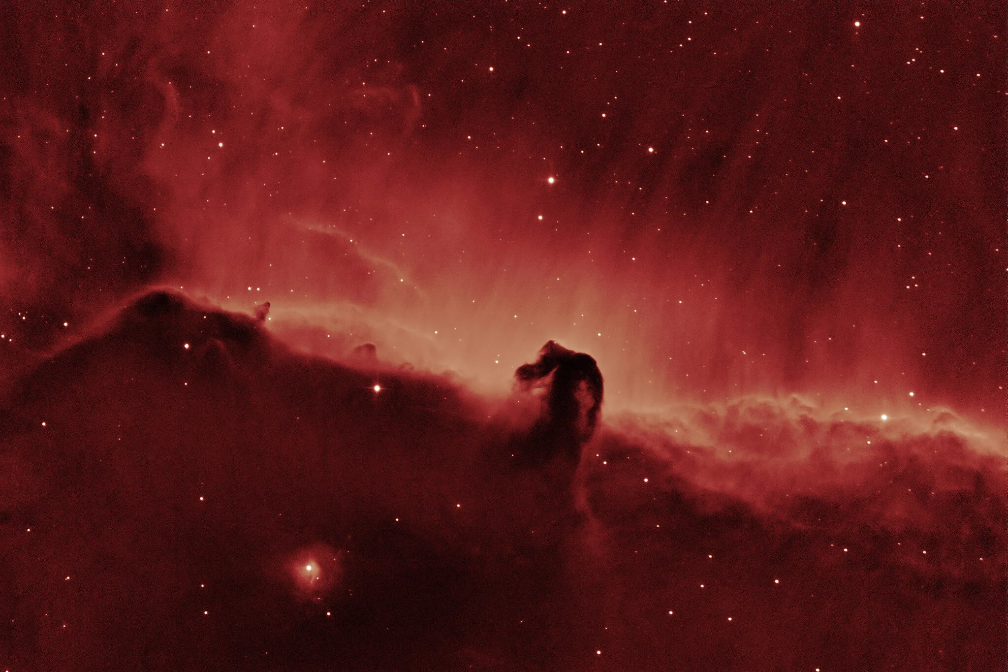 Image by john.purvisHorsehead nebula in Orion [H-alpha] (robotic, NM)The iconic Horsehead dark nebula in Orion (Barnard 33). Backlit by the extensive billowing clouds of excited hydrogen gas in emission nebula IC 434.This was a narrowband image comp…