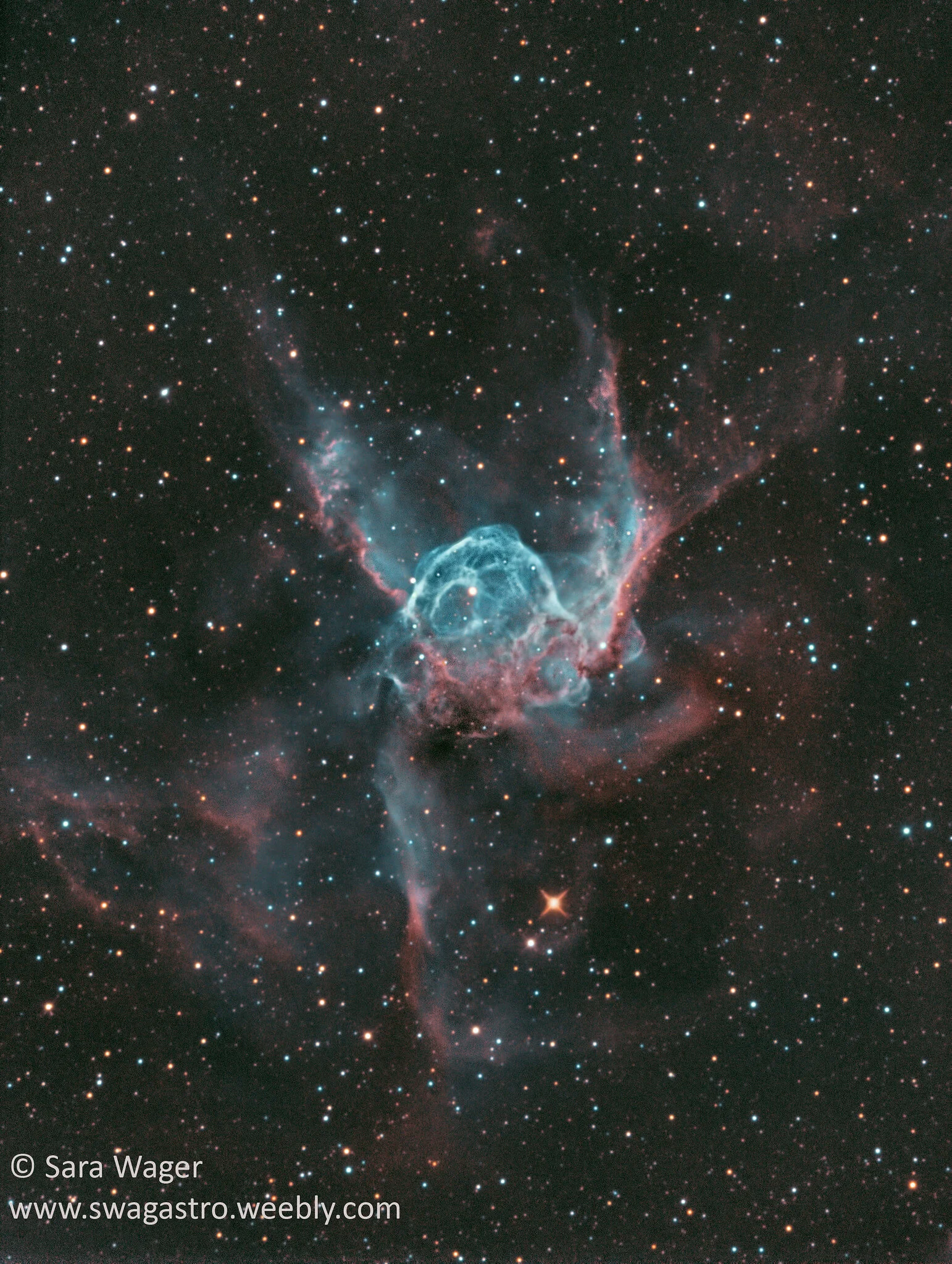 Image by Sara Wager Mount: Avalon Linear Fast reverseTelescope: Orion Optics ODK10Camera: QSI683 with Astrodon 3nm Ha and OIII filters30x1800s Ha25x1800s OIII27.5 hours of total exposure