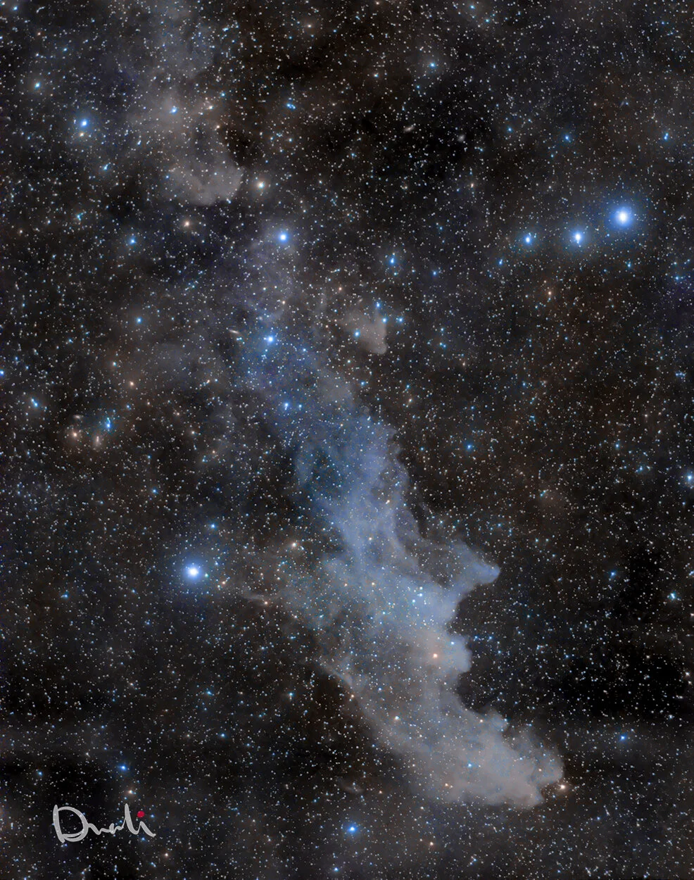 Image by David DvaliWitch Head NebulaQHY163M, QHY168C. Canon 300mm F/4. 4 hours only