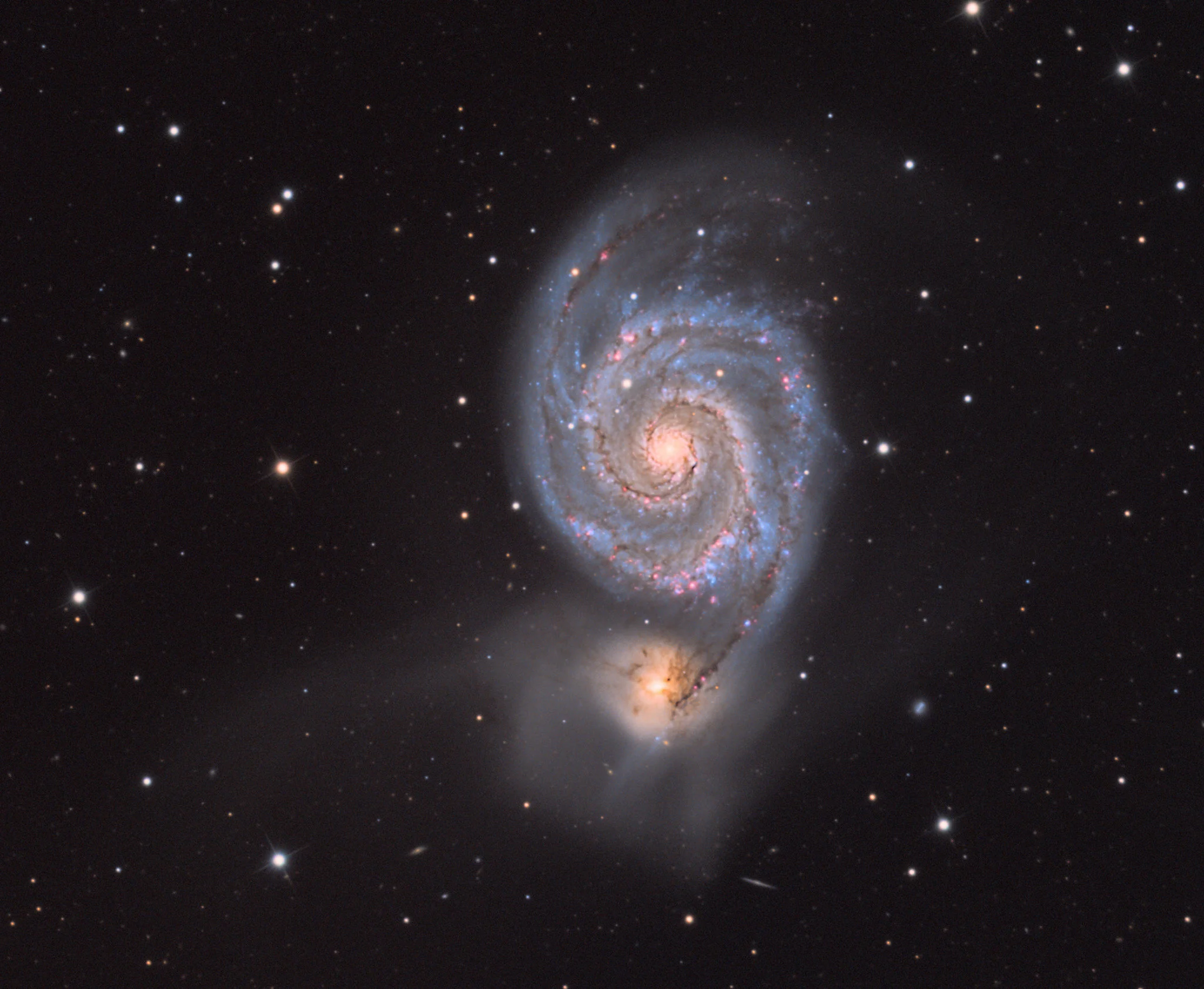 Image by Daniele MalleoLuminance: 36 x 900sR: 23 x 900sG: 33 x 900sB: 33 x 900sHa: 9 x 1800sTotal exposure time: ~36 hoursMain Camera: QSI 883 WSGGuide Camera: SXV Lodestar (on OAG)Mount: Paramount MEScope: AT 10 RC f/8Image Aquisition software Maxi…