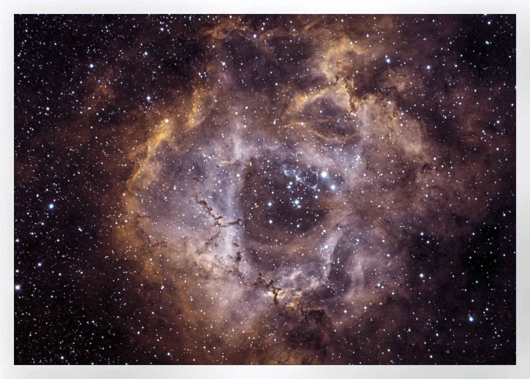 Image by Christoph PützRosette-Nebula HaOiiiATIK 383 L+3h Ha3h Oiiigreen channel syntheticSkywatcher ED80 at f=600mm