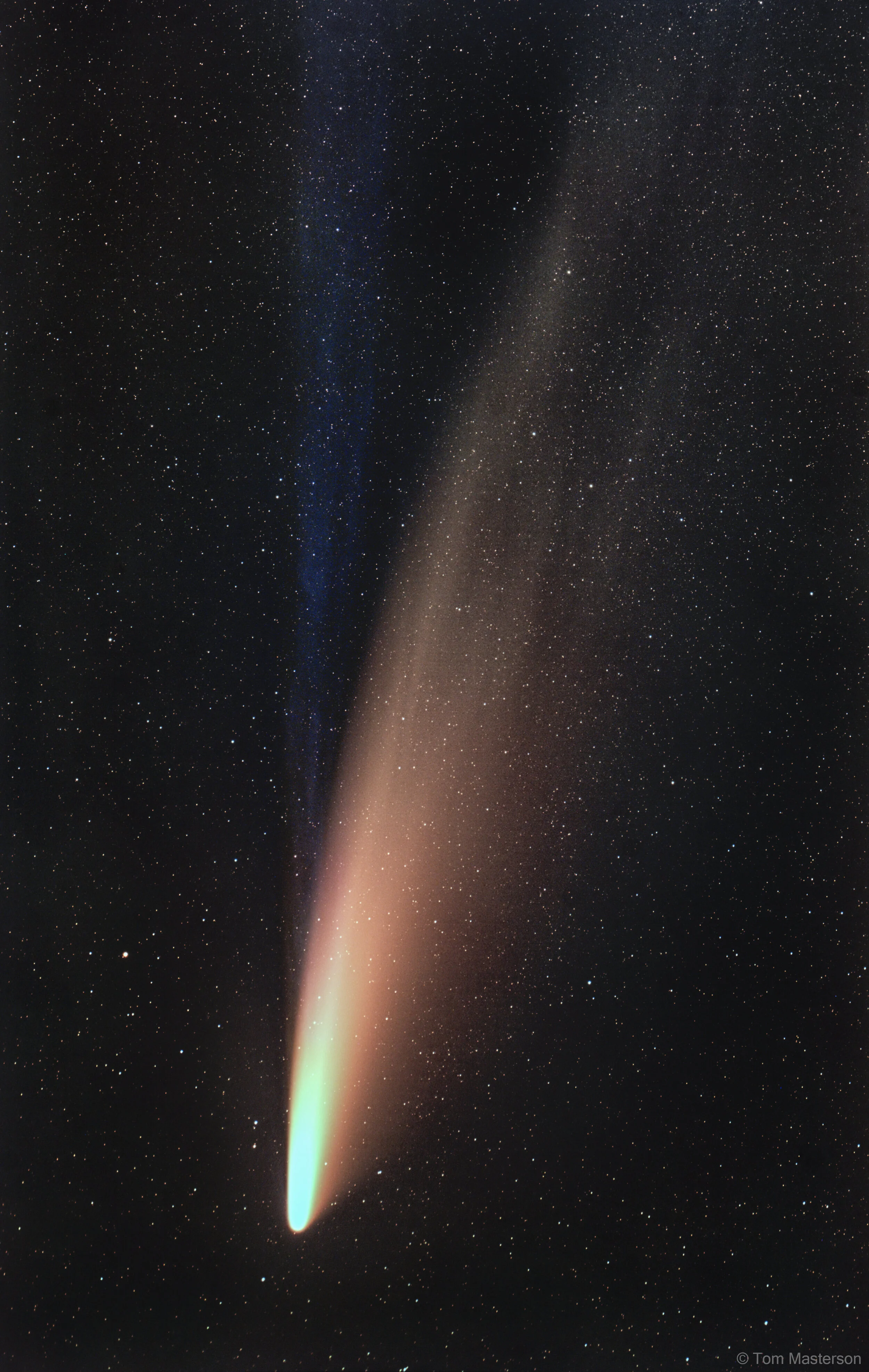Comet C/2020 F3 NEOWISE Puts On A Spectacular ShowComet C/2020 F3 NEOWISE is the most spectacular comet to grace Northern Hemisphere skies in decades. This image, taken from Mount Wilson in California on July 10, shows a clearly defined ion tail (bl…