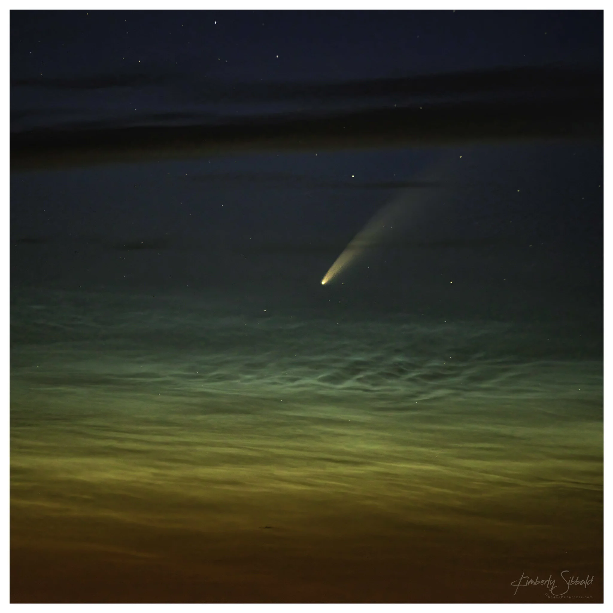 NEOWISEC/2020 F3 NEOWISE CometImage by Kimberly Sibbald