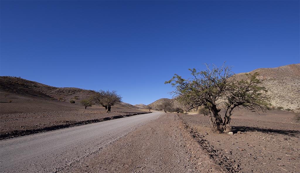 road leading to the observatories © Elke Schulz