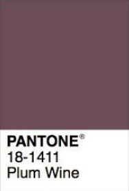 Pantone Plum Wine.png