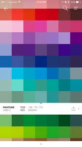 Sarah in Pantone Colors
