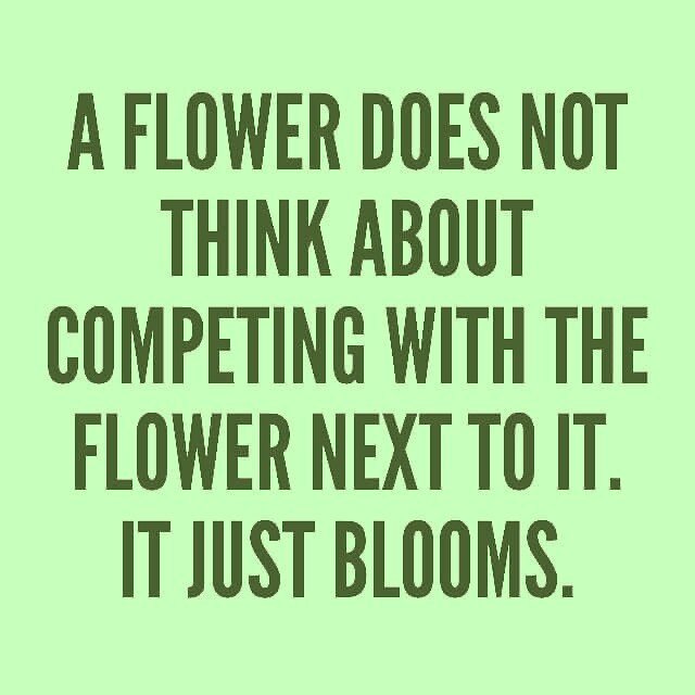 Just Blooming ☺️✌🏽
#kevathinks