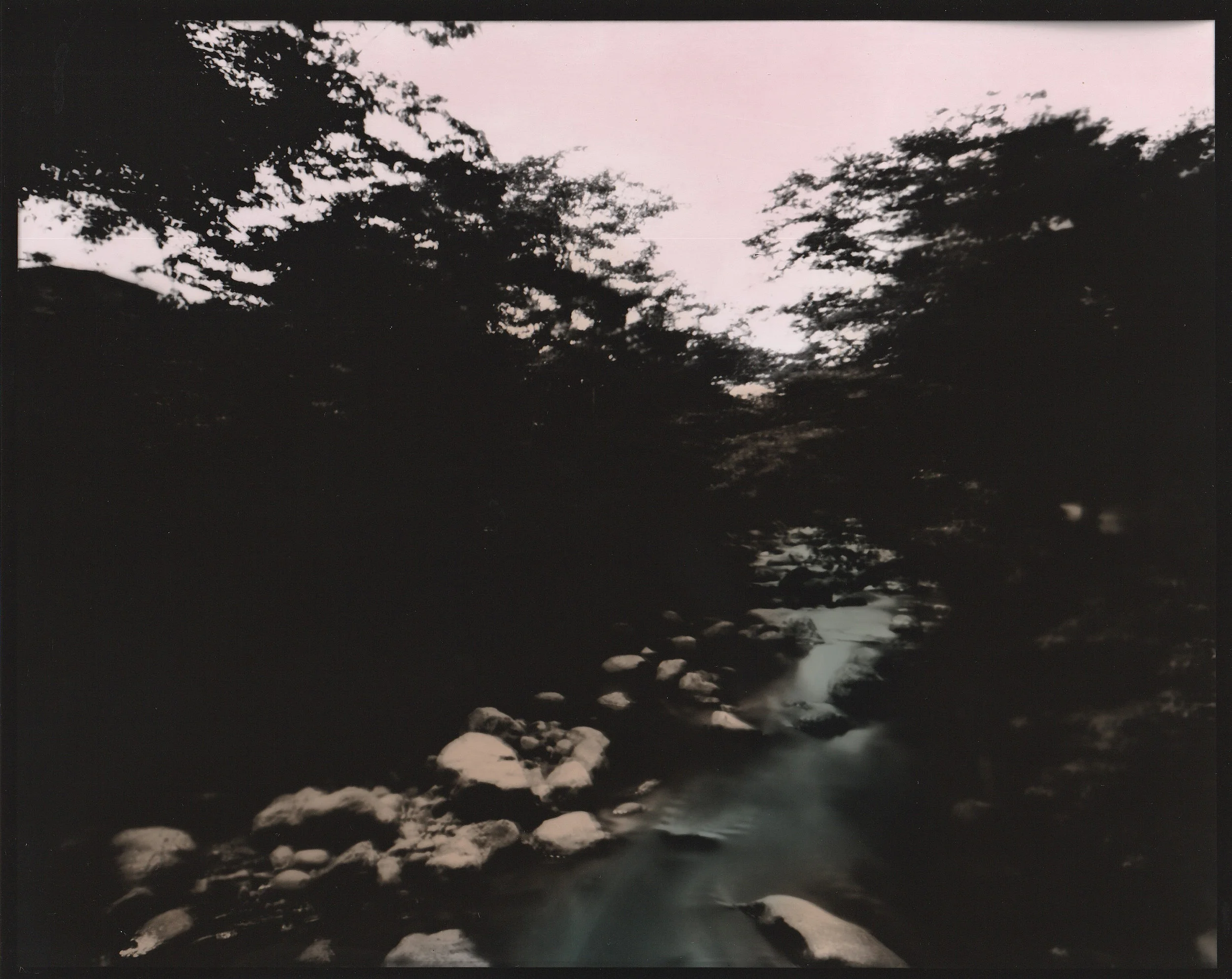 El Agucate 4 Carolina Echeverri.jpg