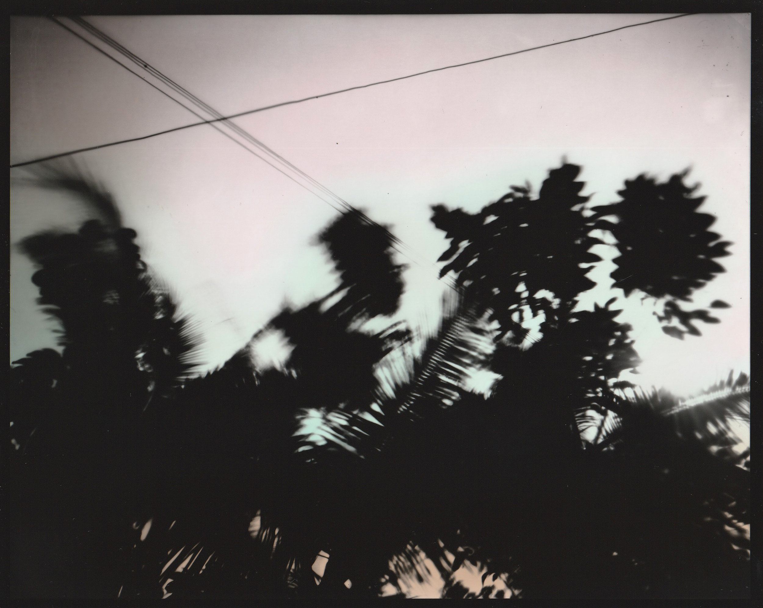 El Agucate 2 Carolina Echeverri.jpg