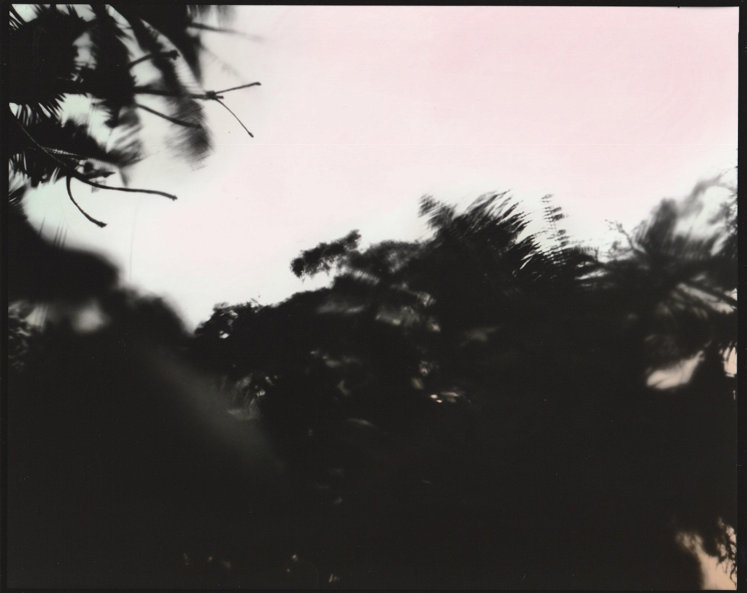 El Agucate 3 Carolina Echeverri.jpg