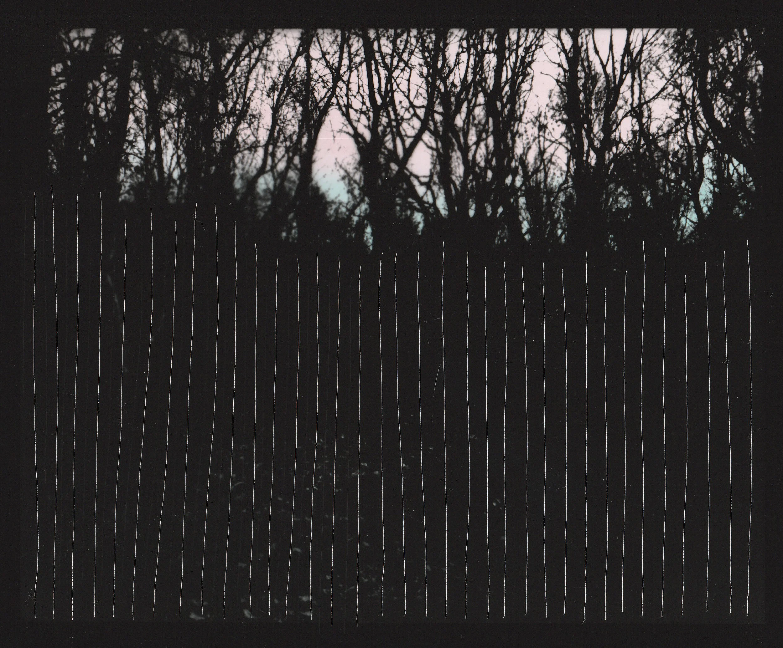 Bruised 3 Carolina echeverri.jpg