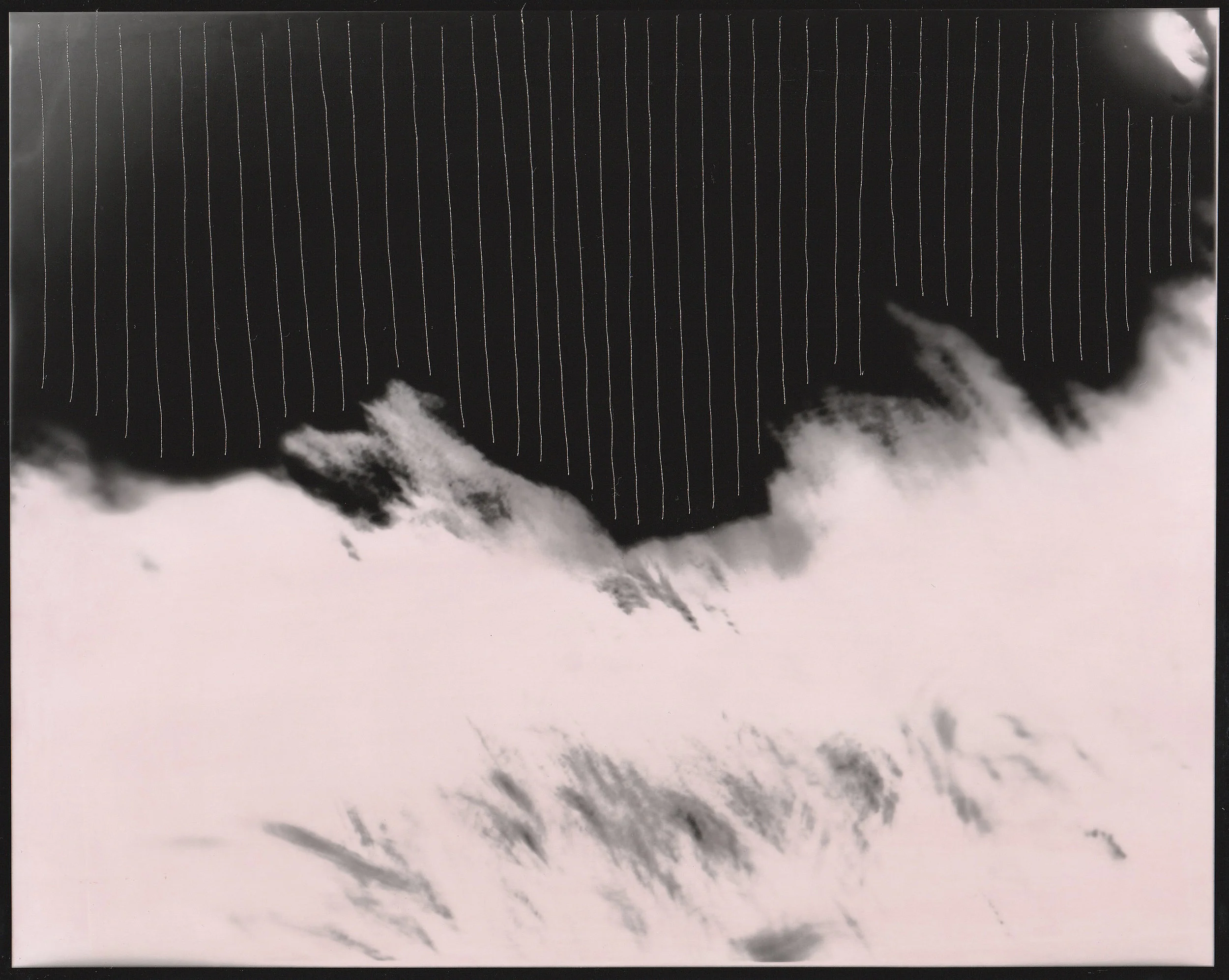 Bruised 2 Carolina echeverri.jpg