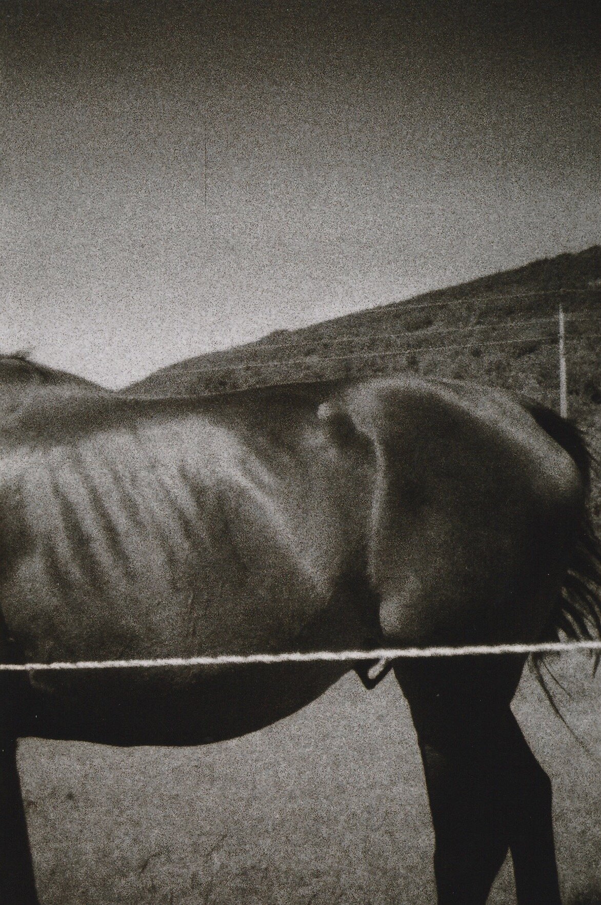 Under The Sheets 35mm 3.jpeg