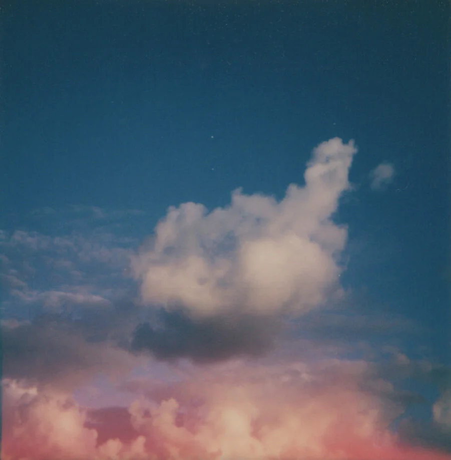 Carolina Echeverri.jpeg