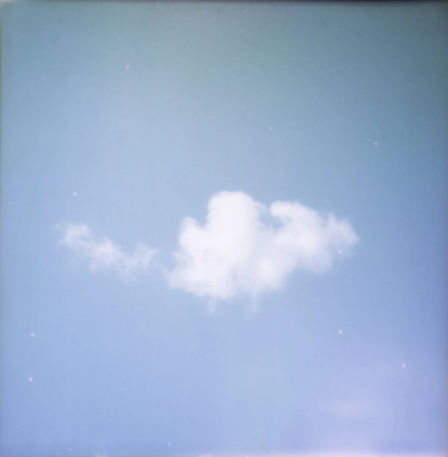 Caro_2020_ 007 azul.jpg