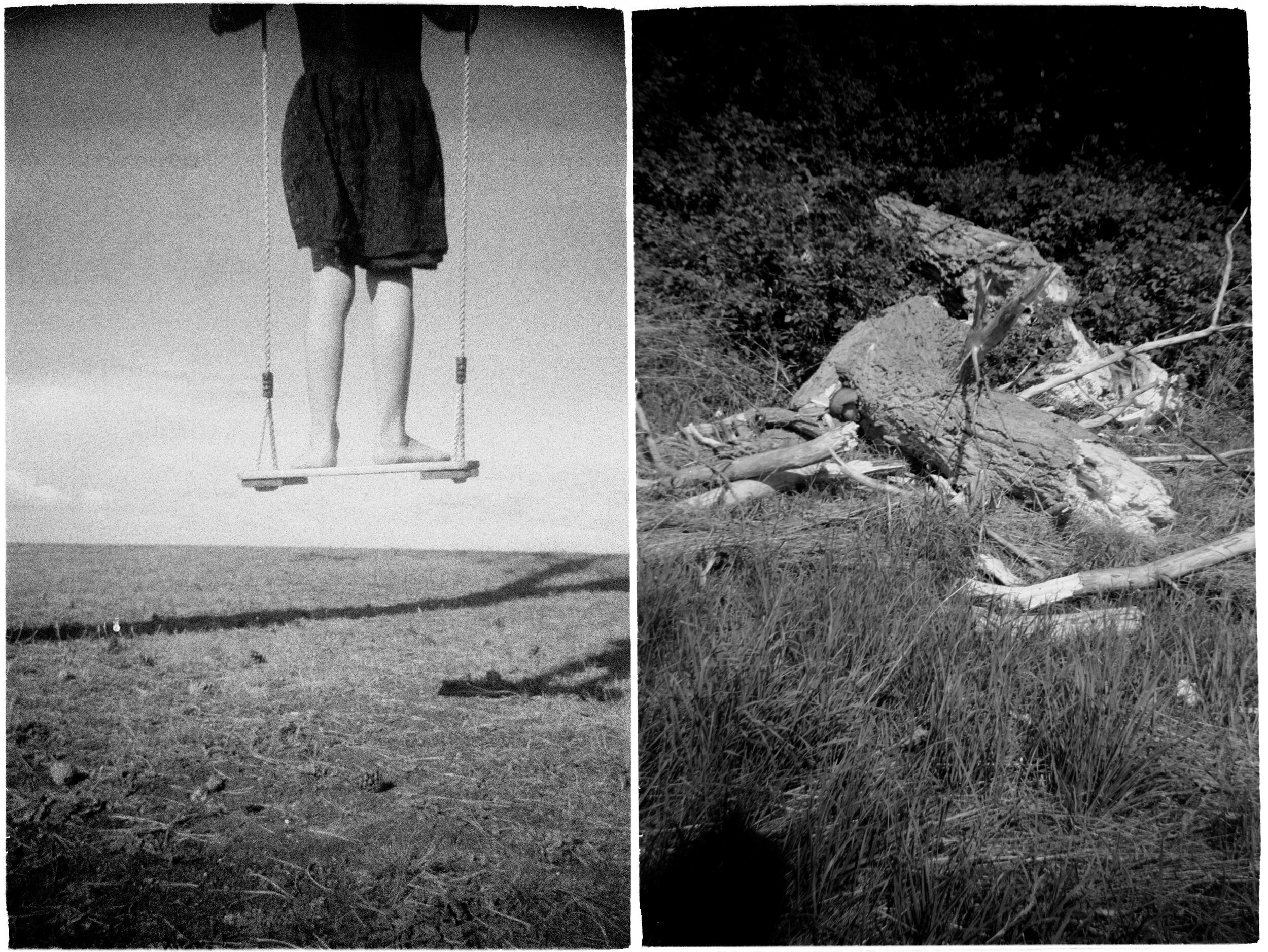 Like Purity, Like Gravity V.jpg