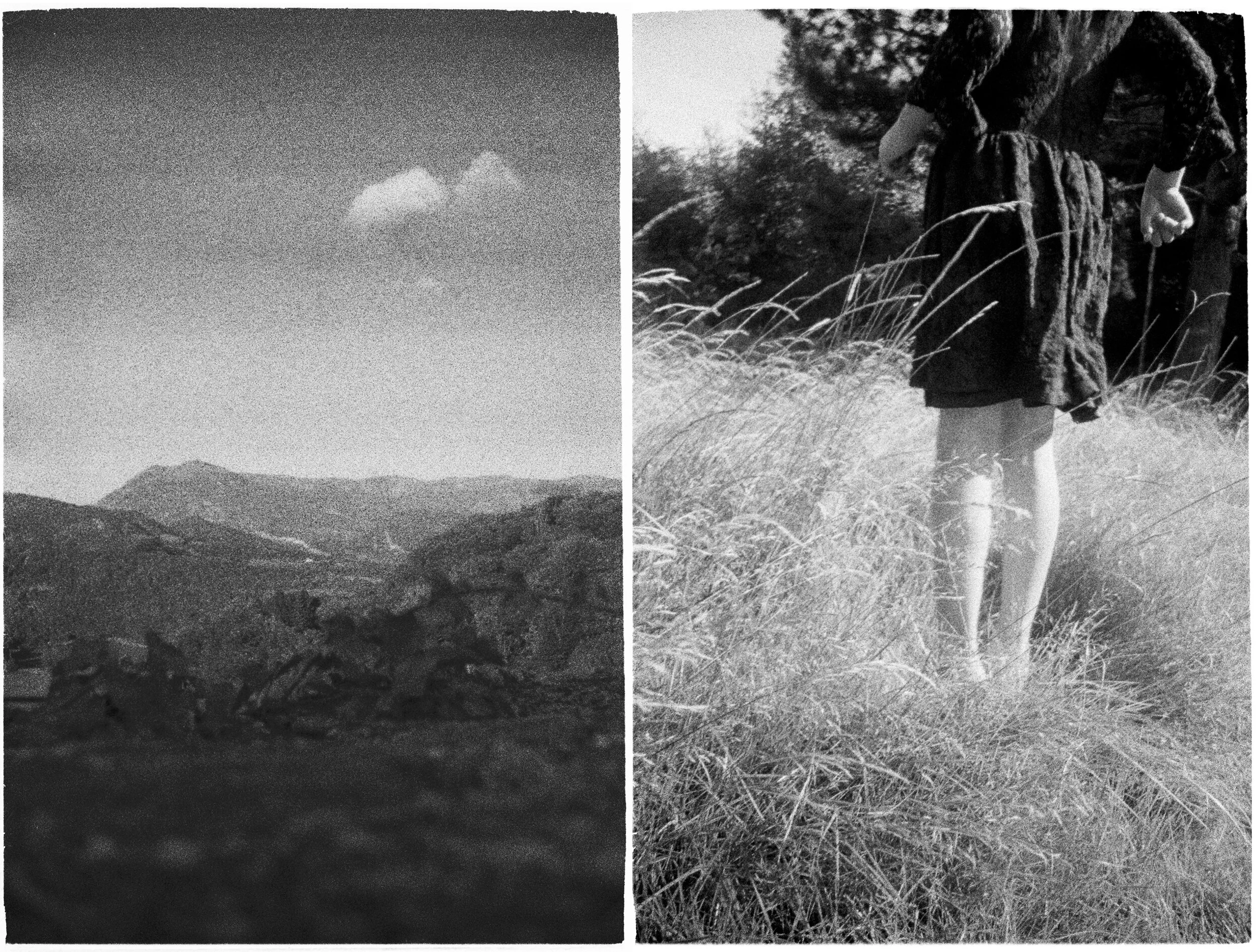 Like Purity, Like Gravity III.jpg