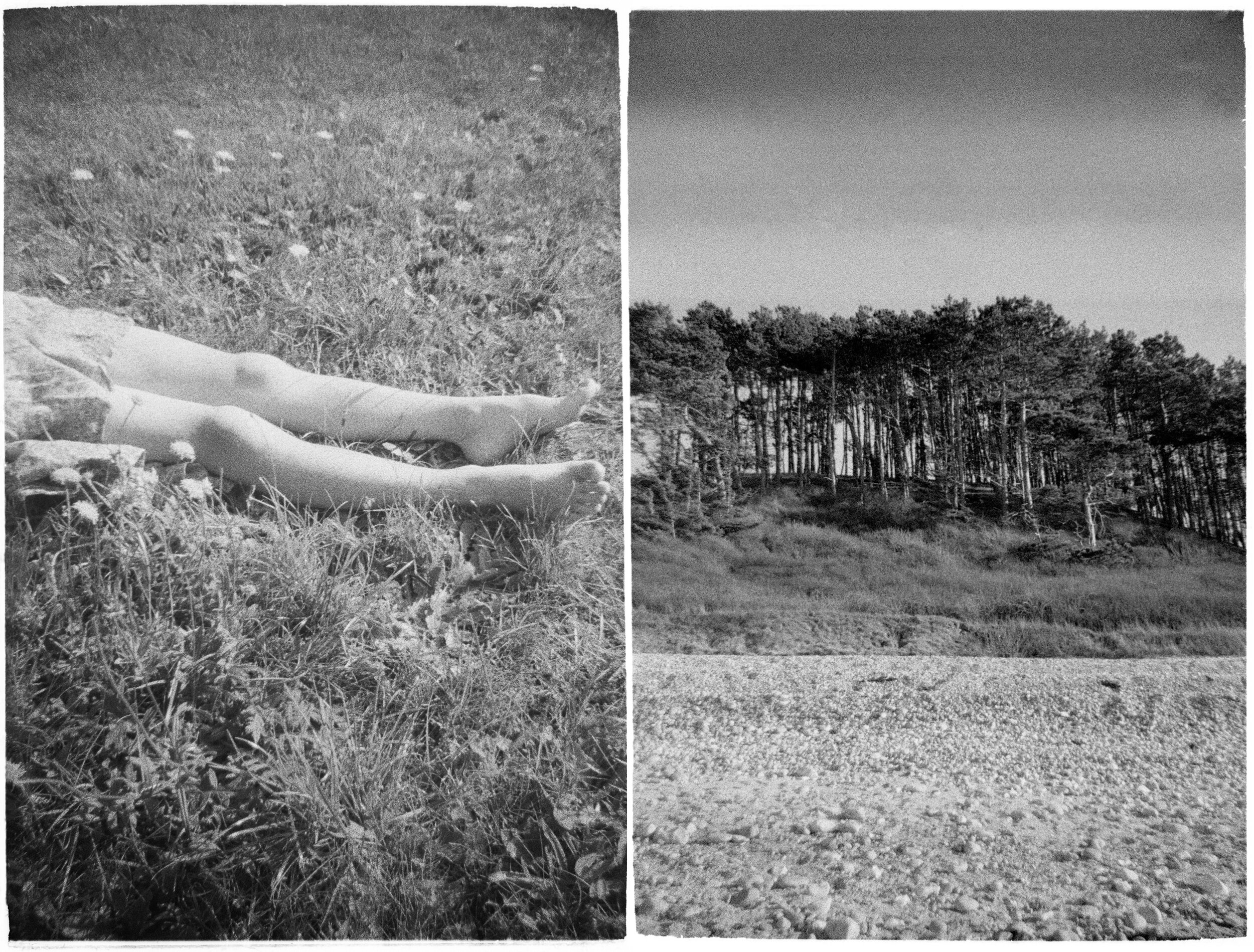 Like Purity, Like Gravity VII.jpg