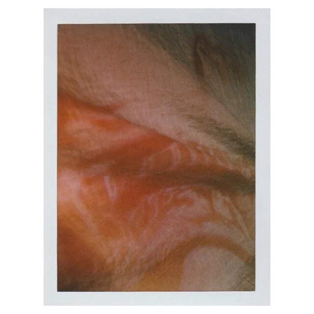 Sagittal plane view of my neck and head, a 41 year old Hispanic woman. 
.
.
.
.
.
.
.

#maternalworld #neuroscience #maternalbrainchanges #analogphotography  #maternalbrain #femalepain #femalepsychology #femalebrain #contemporaryphotography #research
