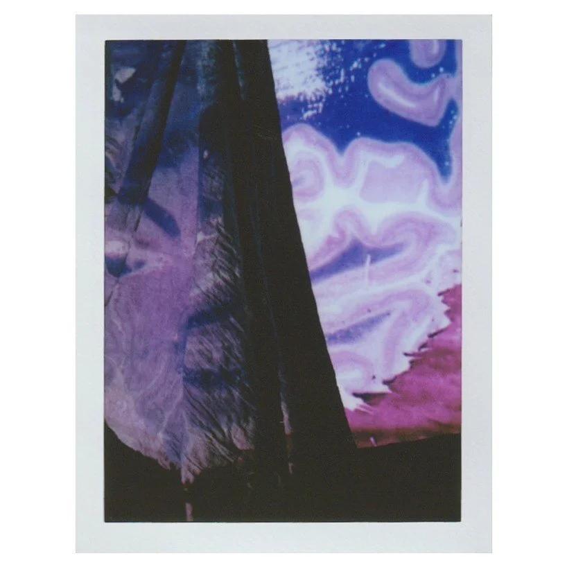 NISSL stain coronal view of a sliced female brain, on instant film. 

Thanks to the Allen Institute for their help and support ~ Original image courtesy of the Allen Institute.
.
.
.
.
.
.
.

#maternalworld #neuroscience #maternalbrainchanges #analog