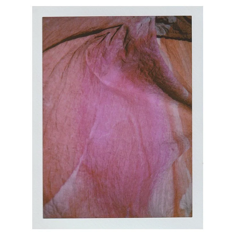 The beautiful coronal viewed brain tissue of a 34 year old African American woman, on instant film. 

Thanks to the Allen Institute for their support. Original image courtesy of the Allen Institute.
.
.
.
.
.
.
.

#maternalworld #neuroscience #matern