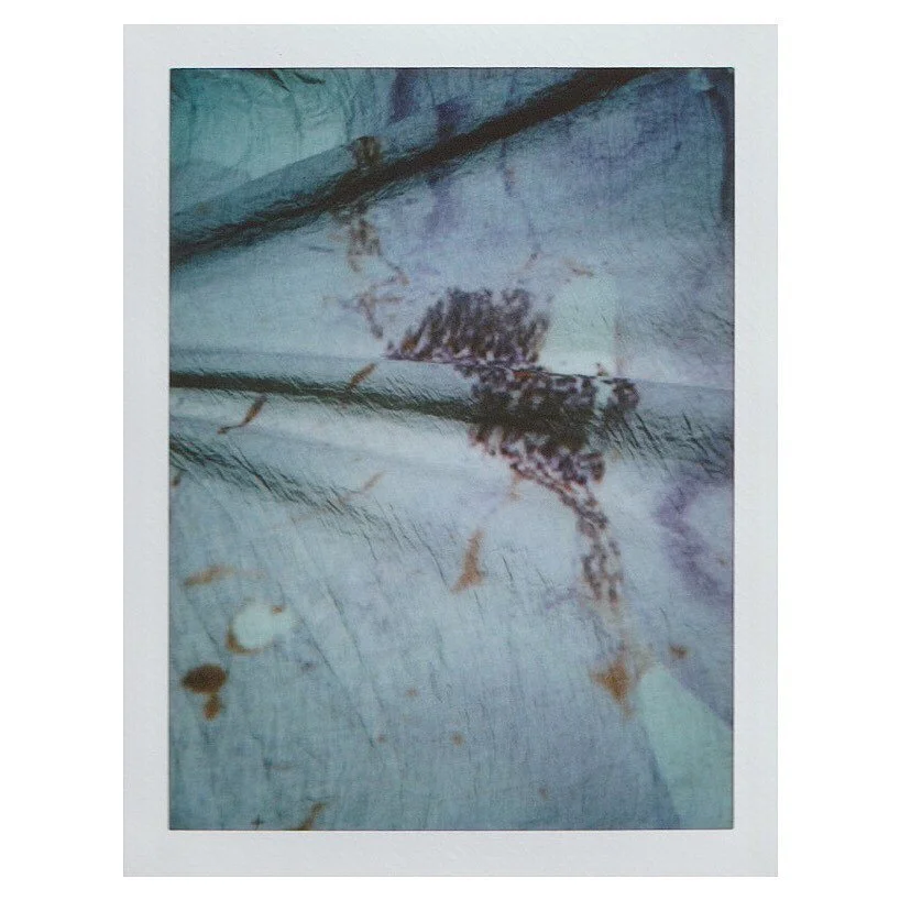 The left subcortex of a 48 year old Caucasian woman, on instant film. 

Thanks to the Allen Institute for their help and support. Original image courtesy of the Allen Institute. 
.
.
.
.
.
.

#maternalworld #neuroscience #maternalbrainchanges #analog