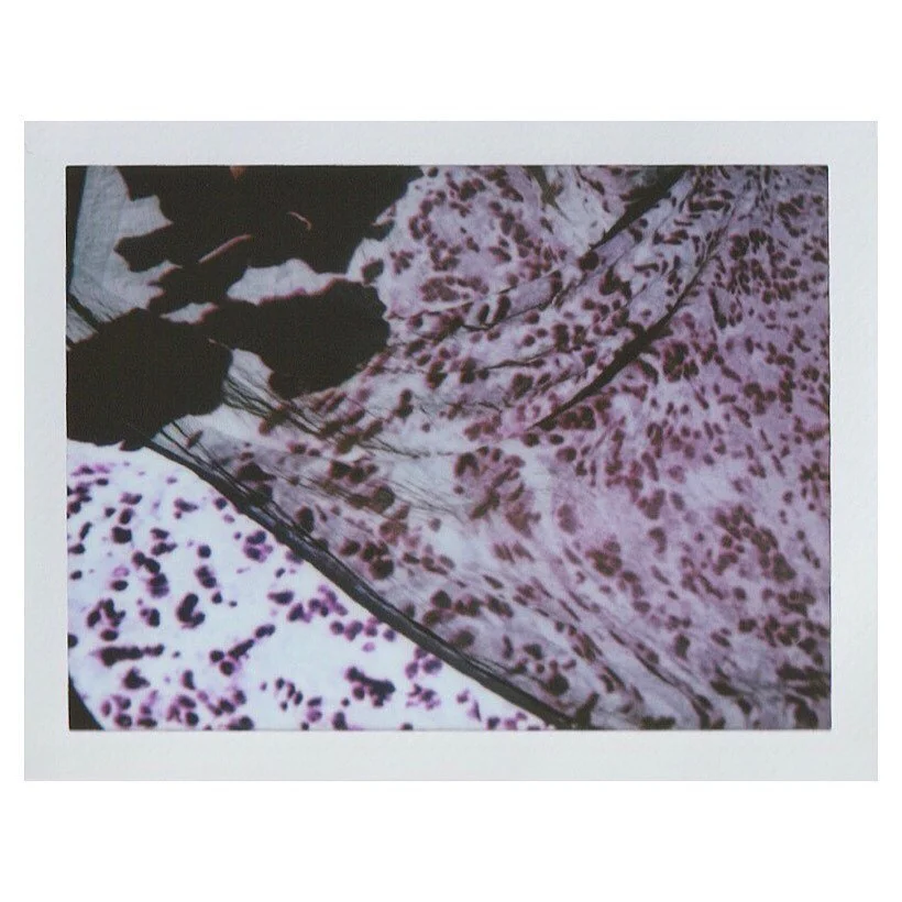 Stunning patterns of brain sand in the human pineal gland, on instant film. .
.
.
.
.
.

#maternalworld #neuroscience #maternalbrainchanges #analogphotography  #maternalbrain #femalepain #femalepsychology #femalebrain #contemporaryphotography #resear