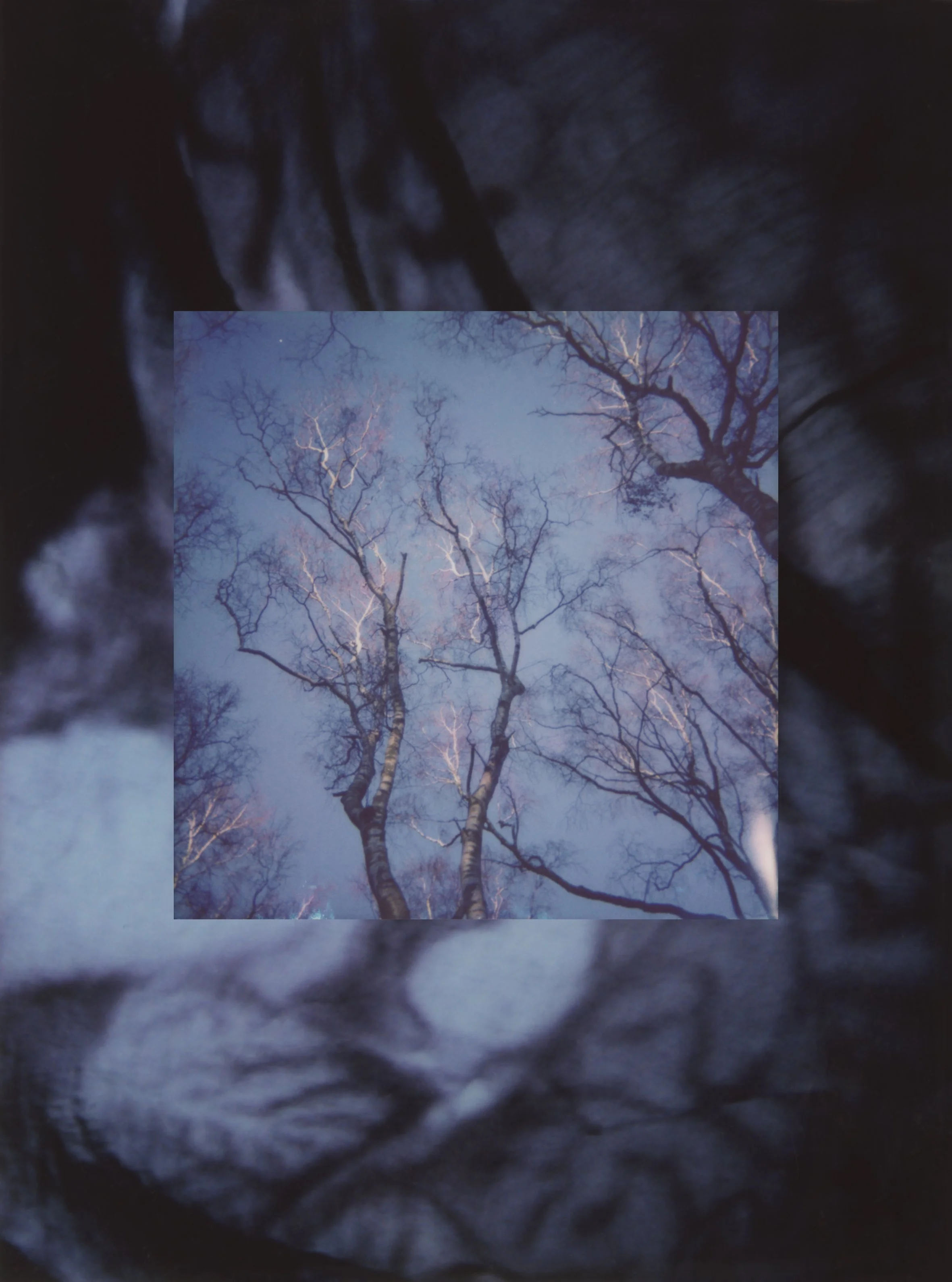 BAMNSB C Echeverri II.jpg