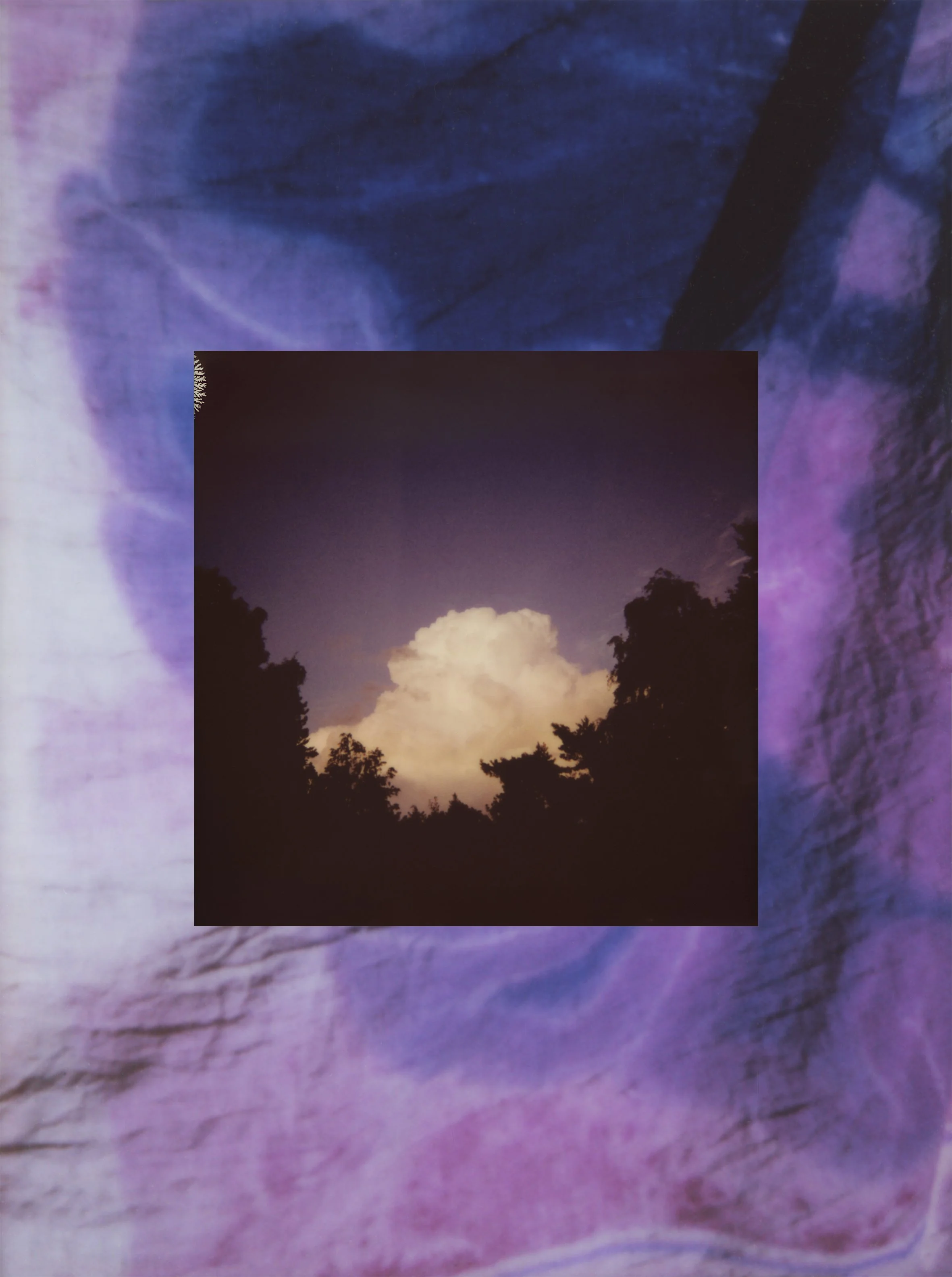 BAMNSB C Echeverri MID.jpg