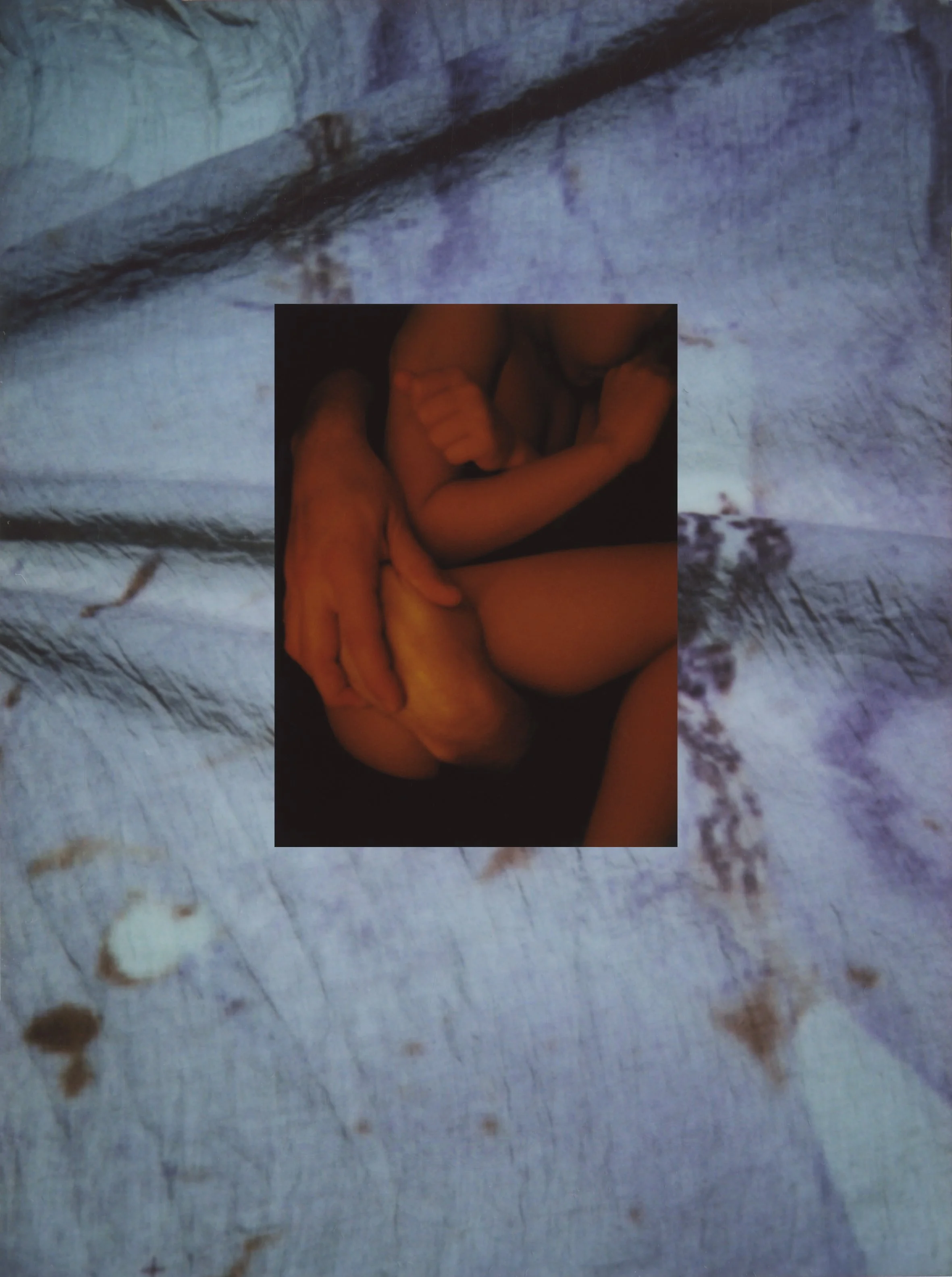 BAMNSB C Echeverri VIC.jpg