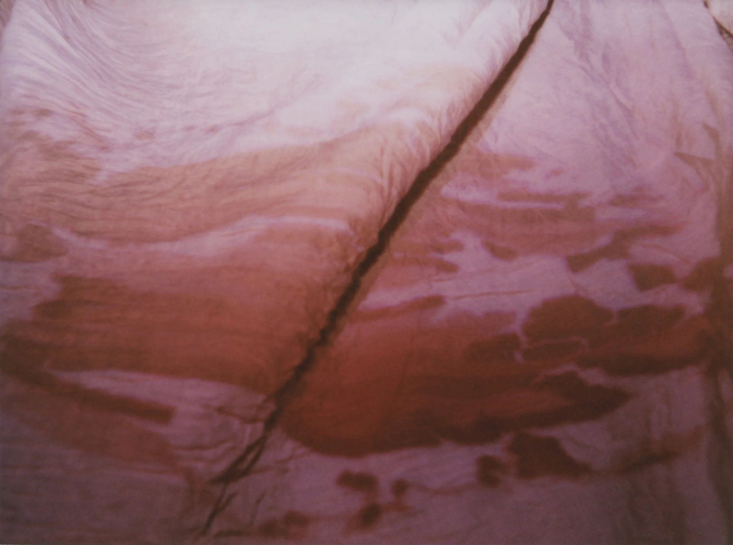 BAMNSB C Echeverri X.jpg