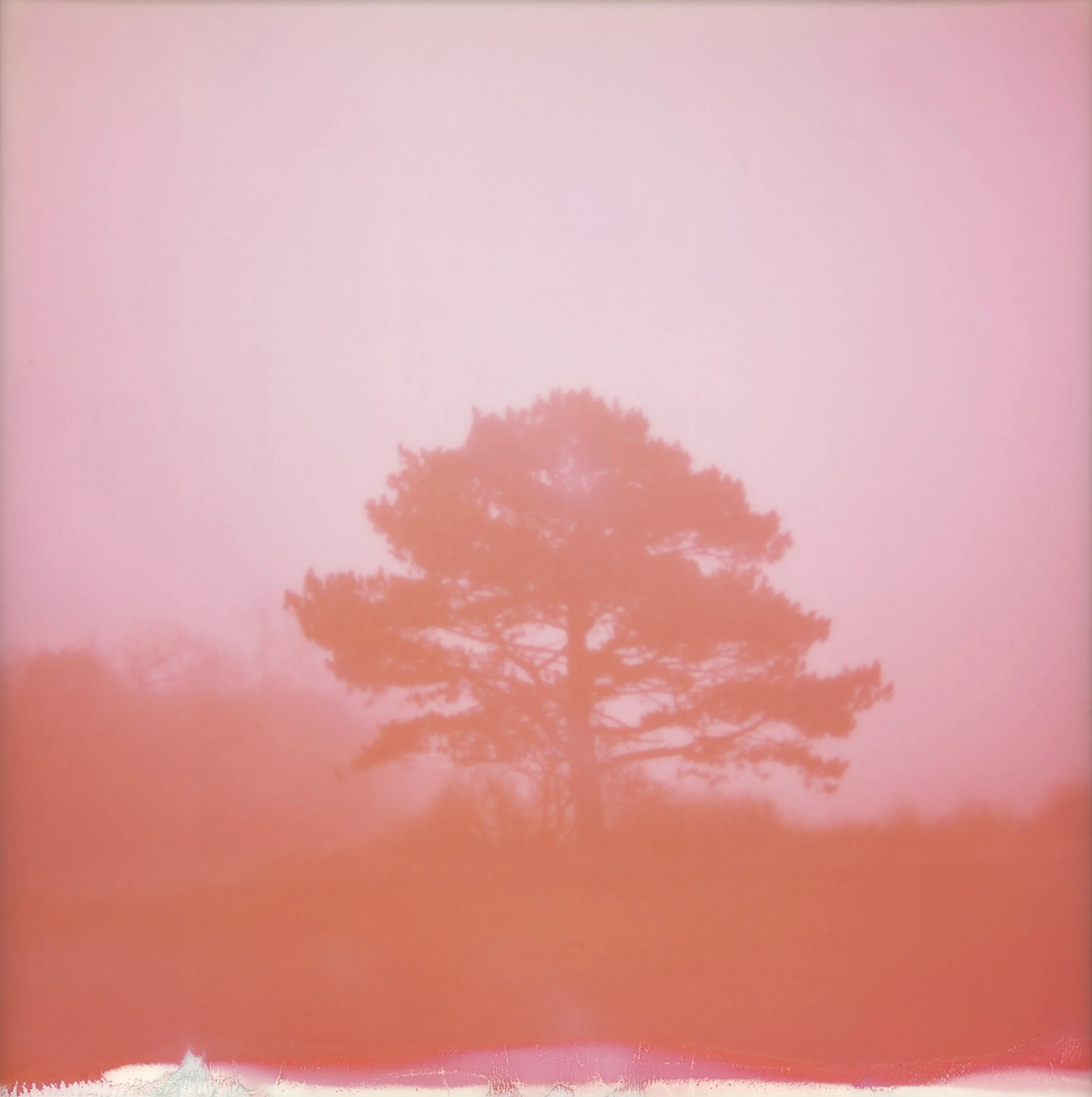 BAMNSB C Echeverri TEST 3.jpg