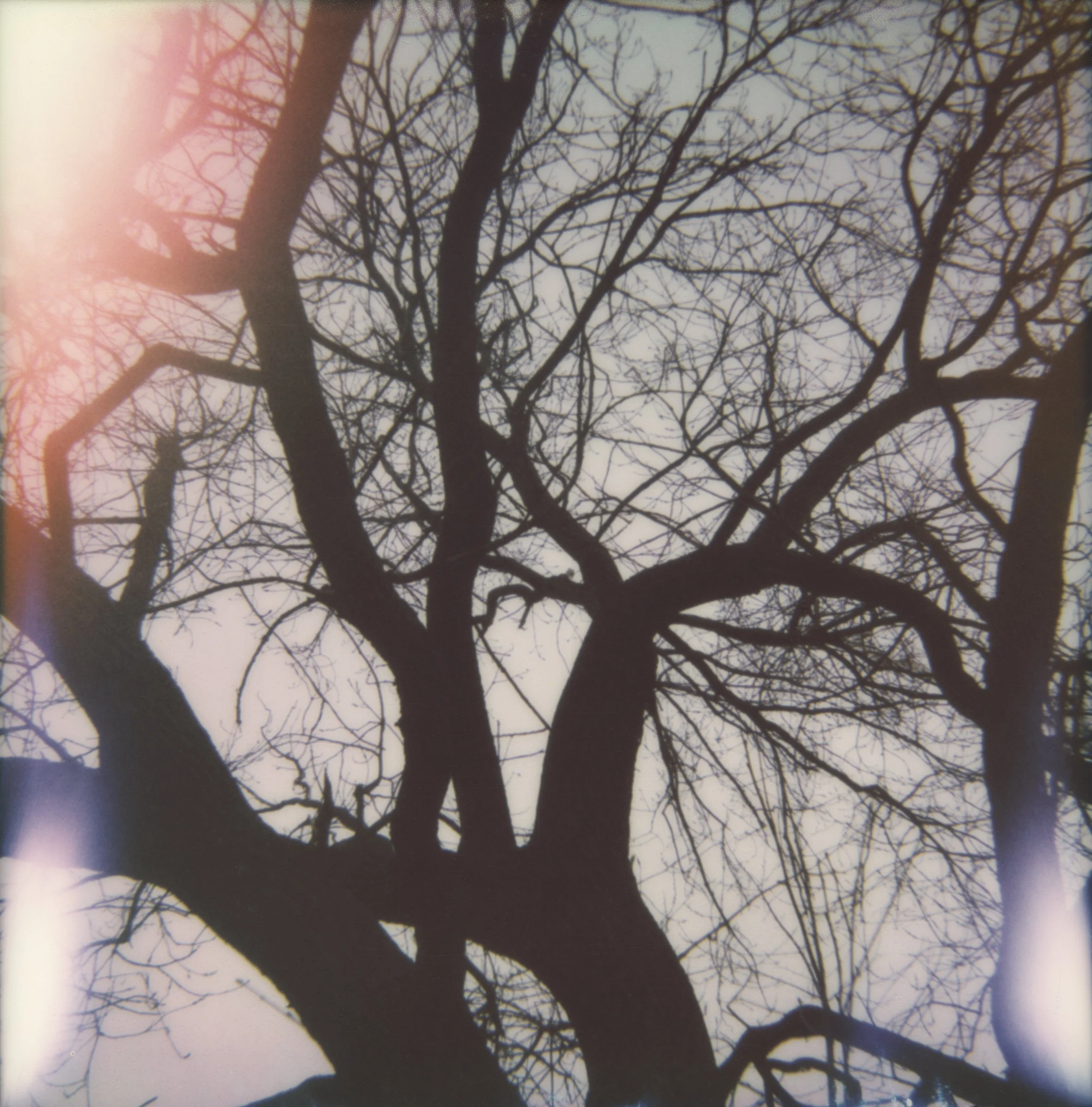 BAMNSB C Echeverri TEST 2.jpg