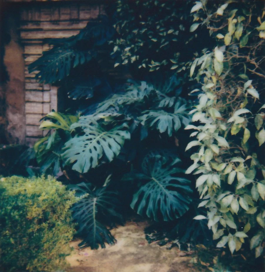 Scan 1.jpeg