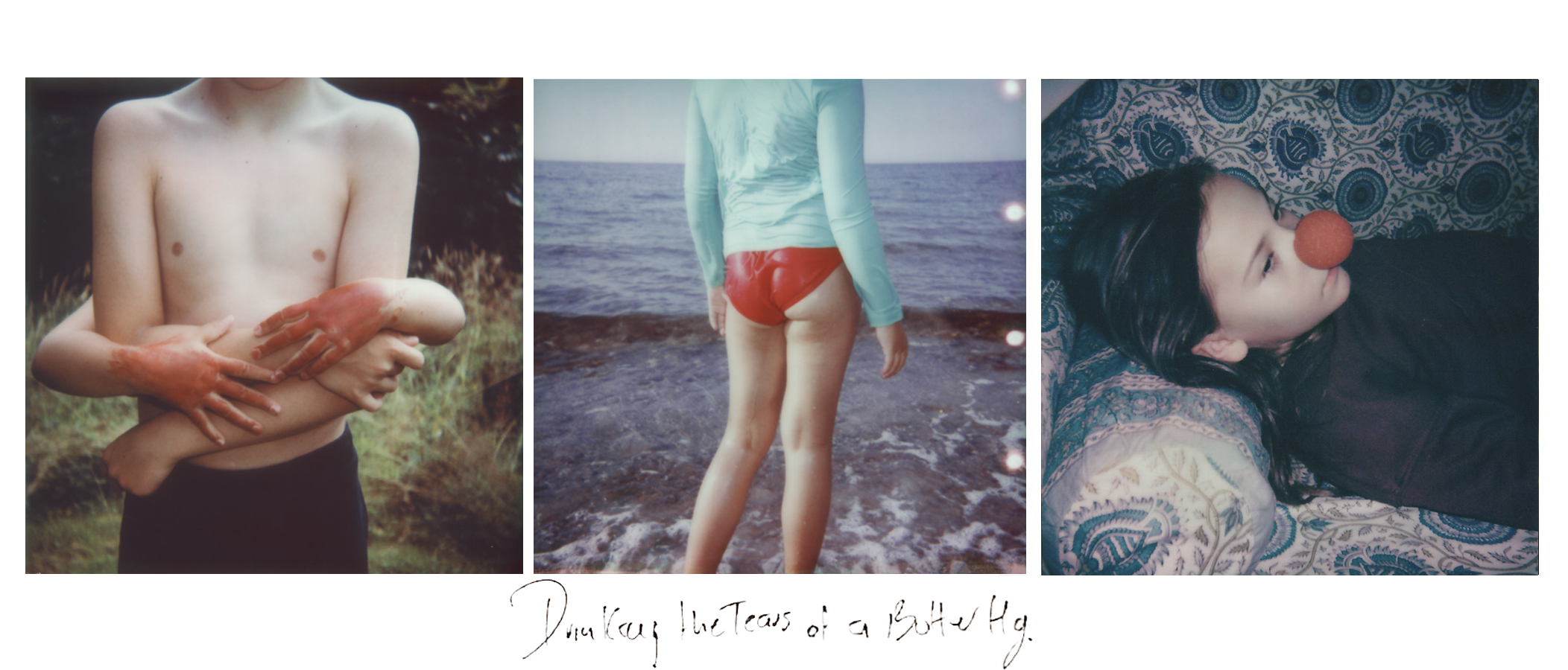 web cover with text.png