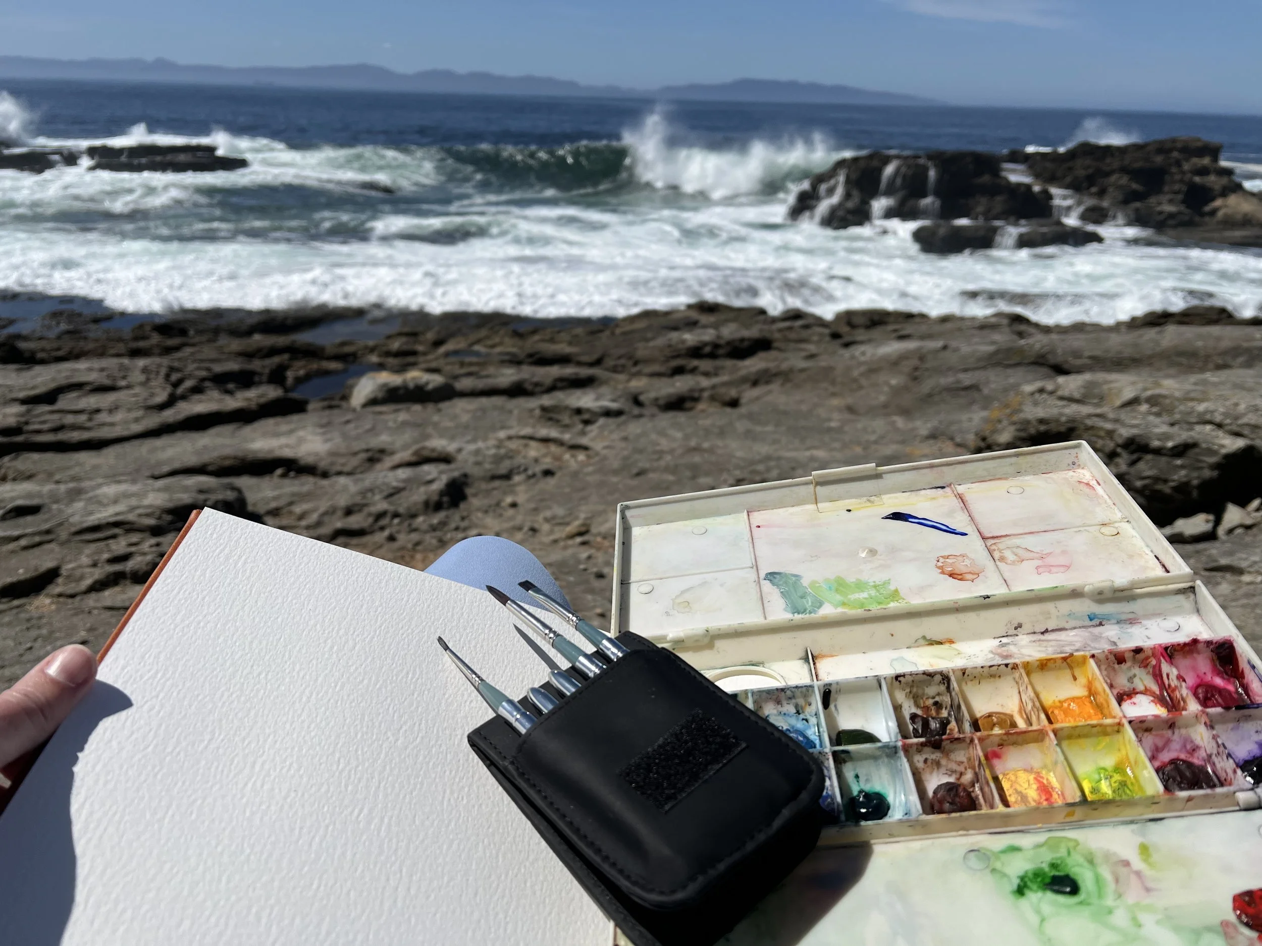 The sketch book