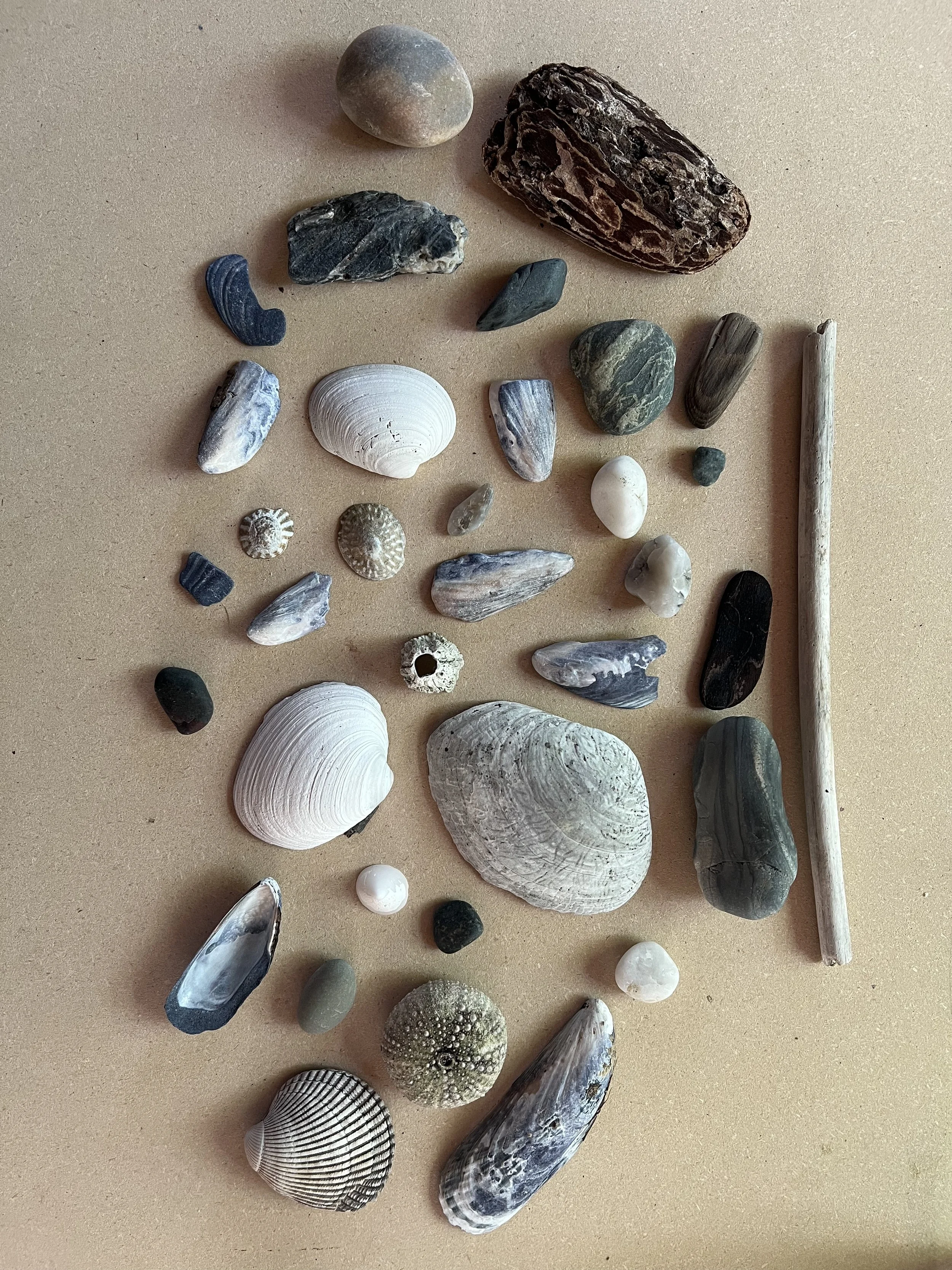 I wouldn't need therapy if my ADHD brain was allowed to gather rocks, sticks, and shells for unrestricted lengths of time on a weekly basis.