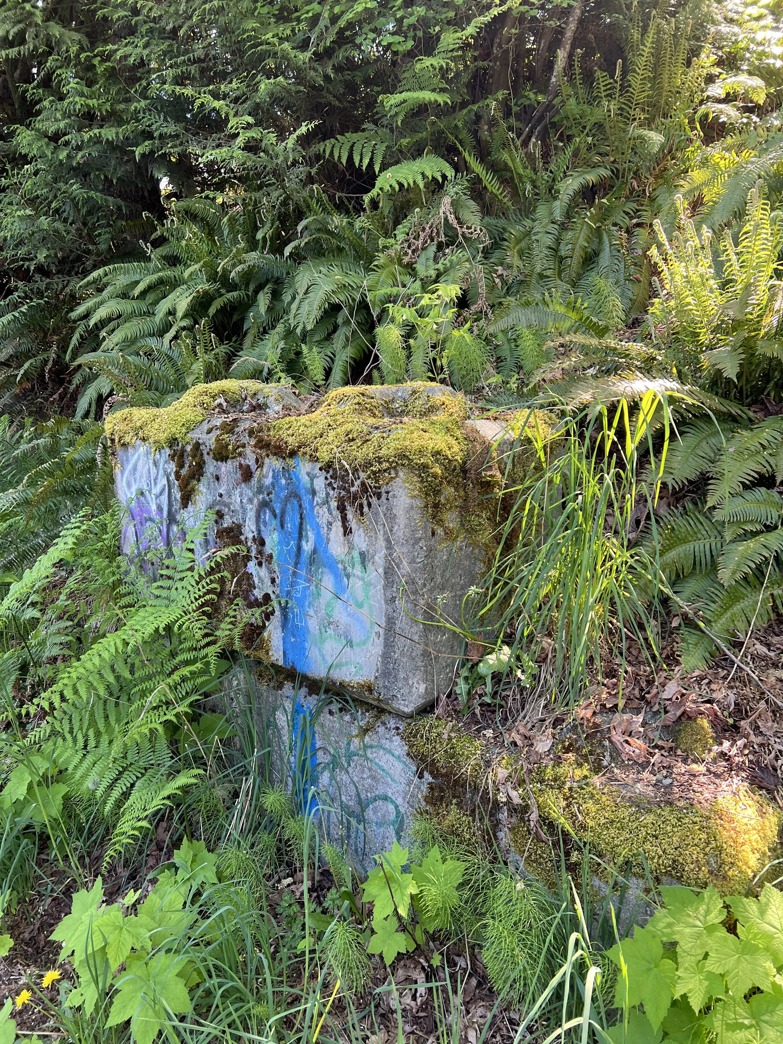 Nature overtaking signs of human existence.